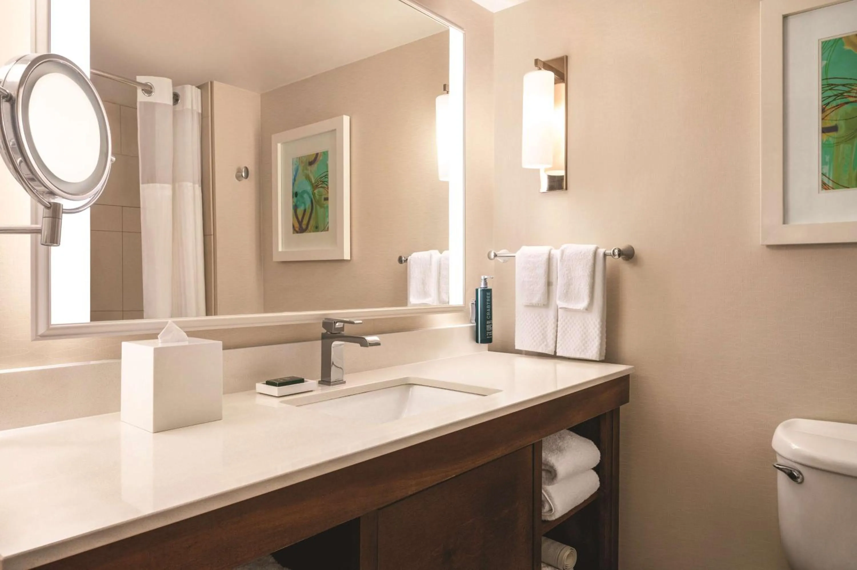 Bathroom in Hilton Naples