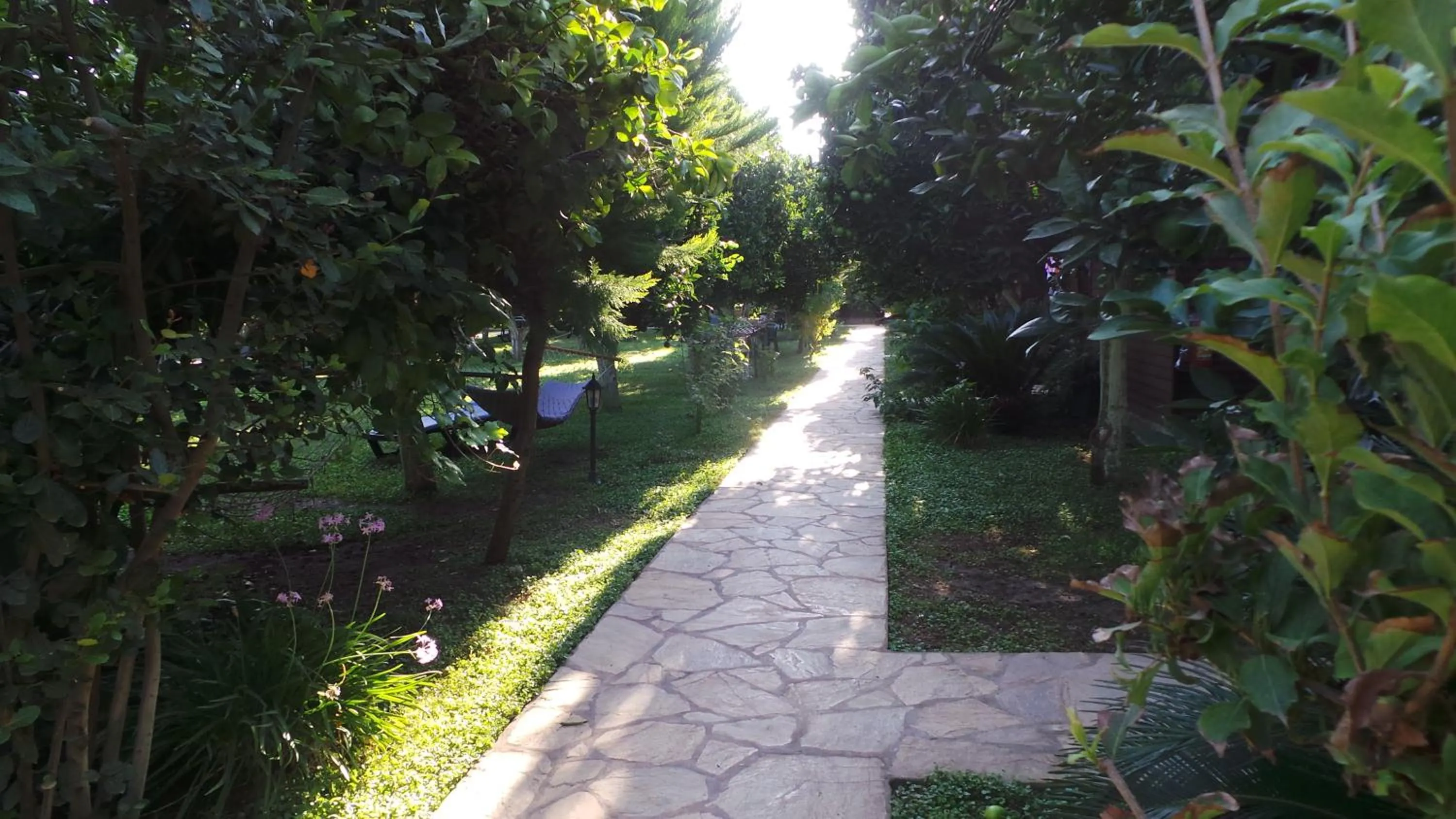 Garden in Mercan Bungalow