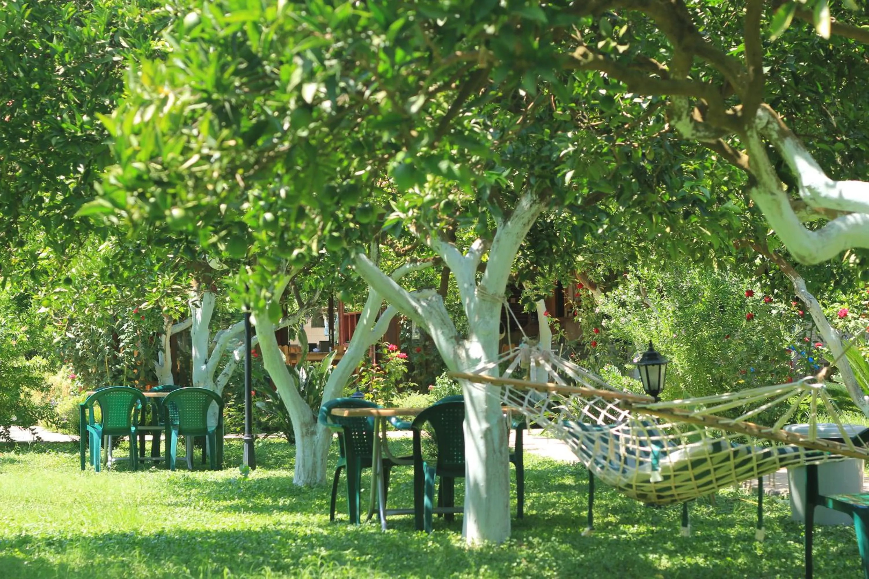Garden view in Mercan Bungalow