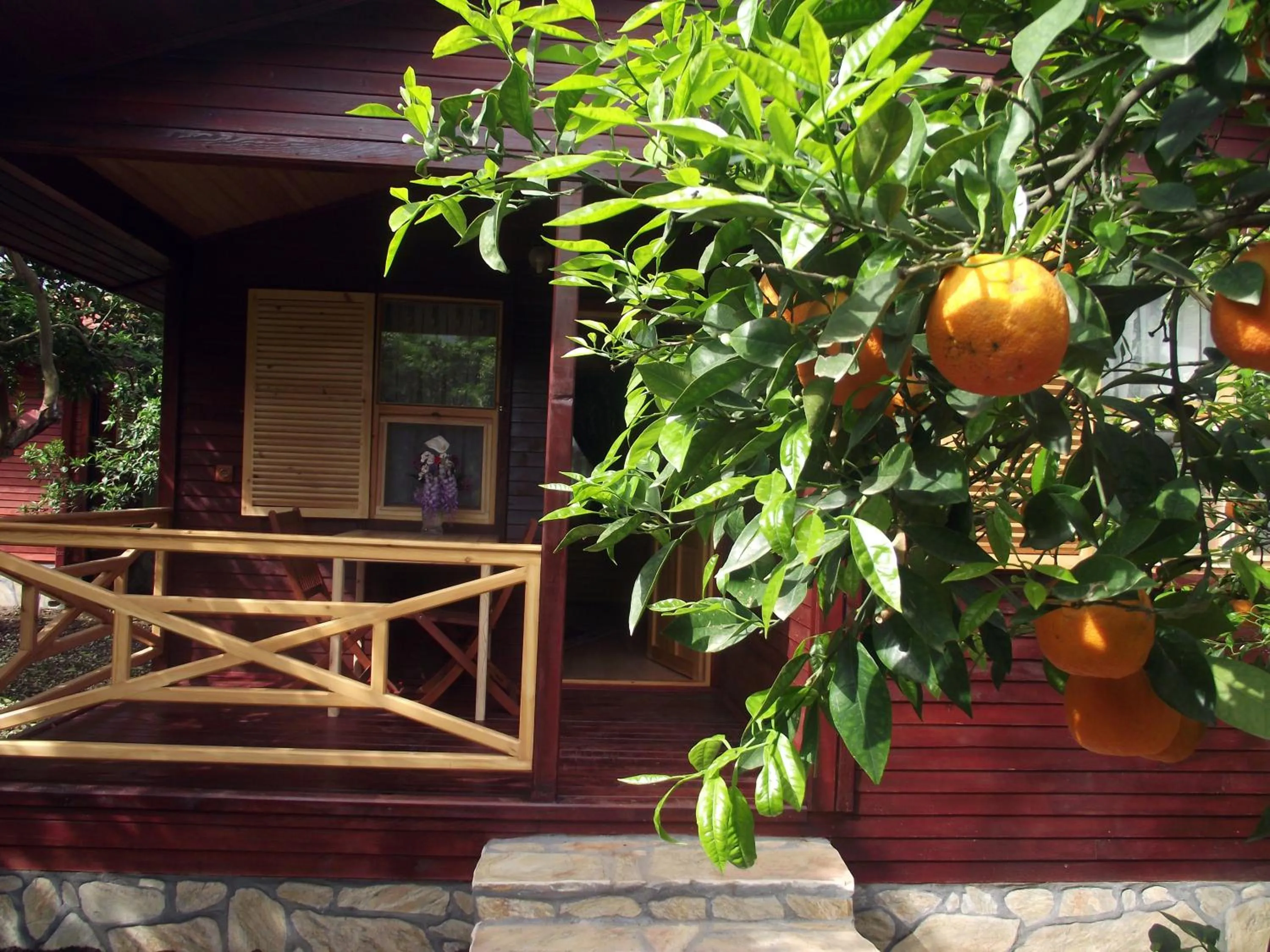 Facade/entrance in Mercan Bungalow