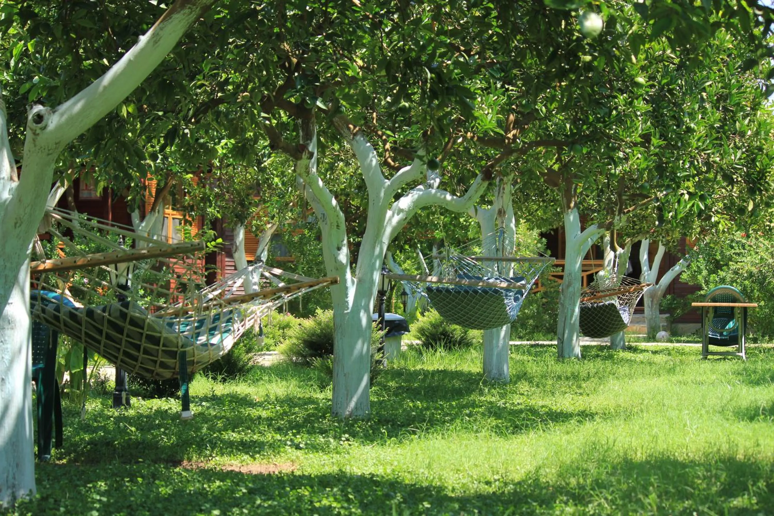 Garden view in Mercan Bungalow