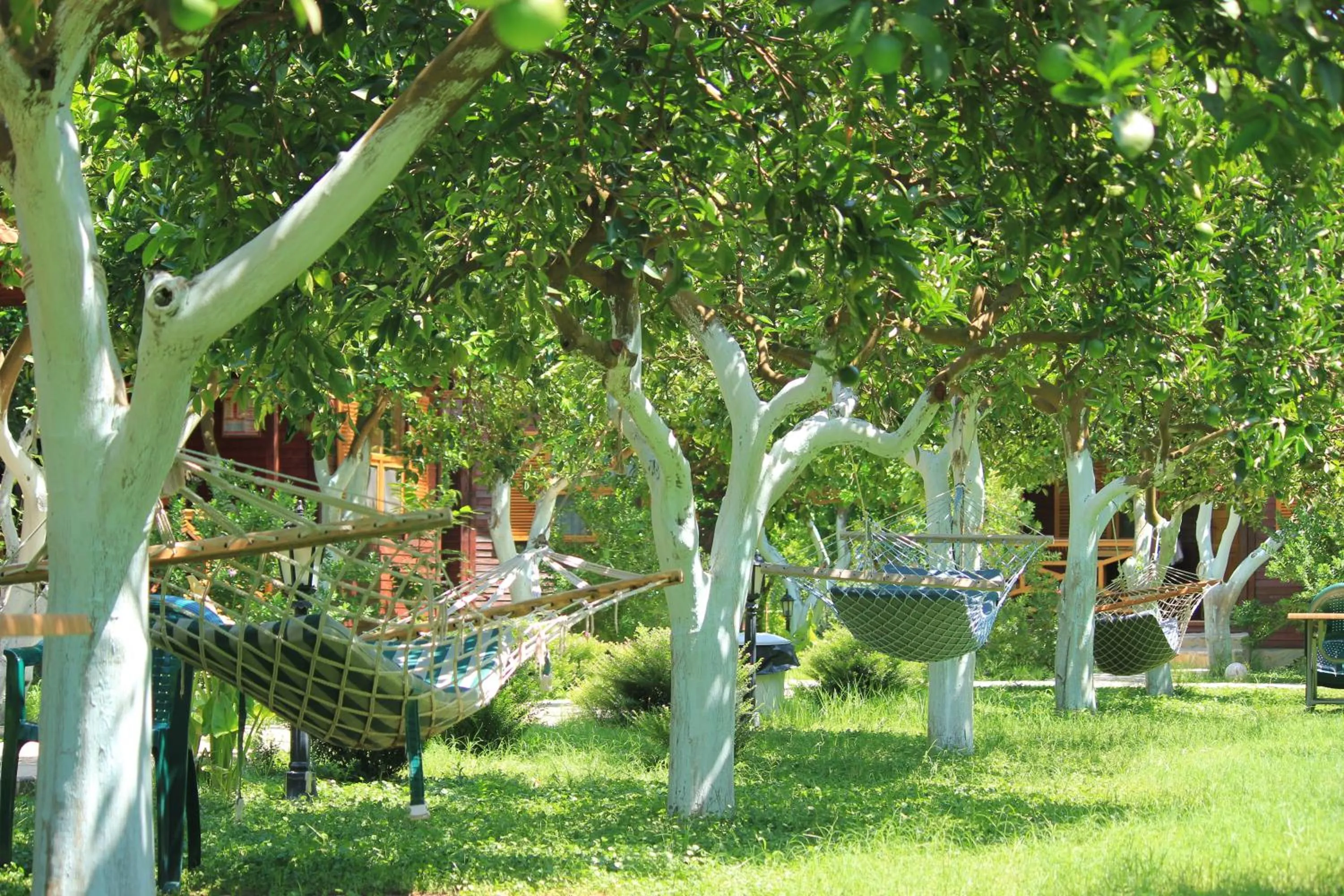 Garden view in Mercan Bungalow