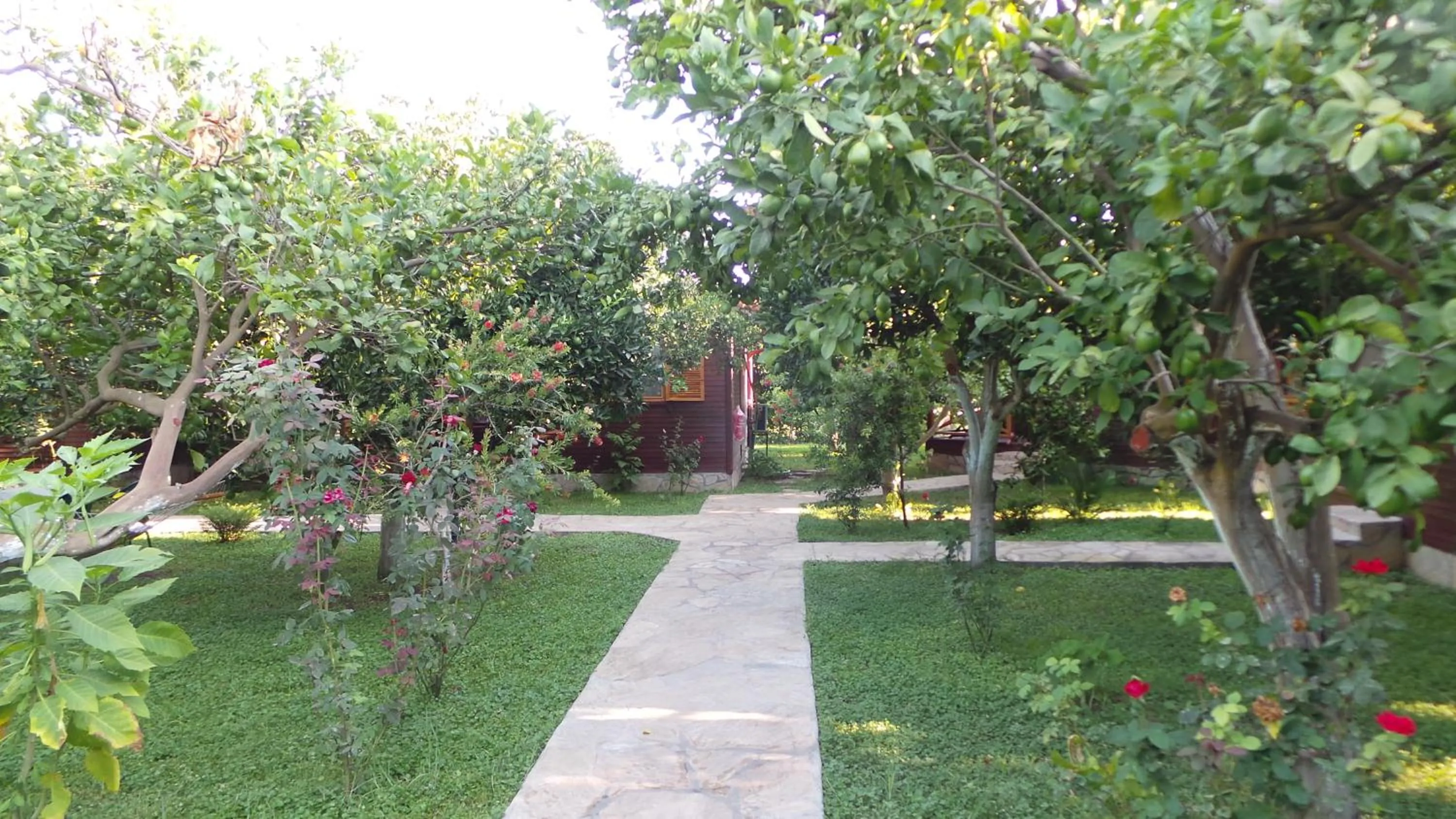 Garden in Mercan Bungalow