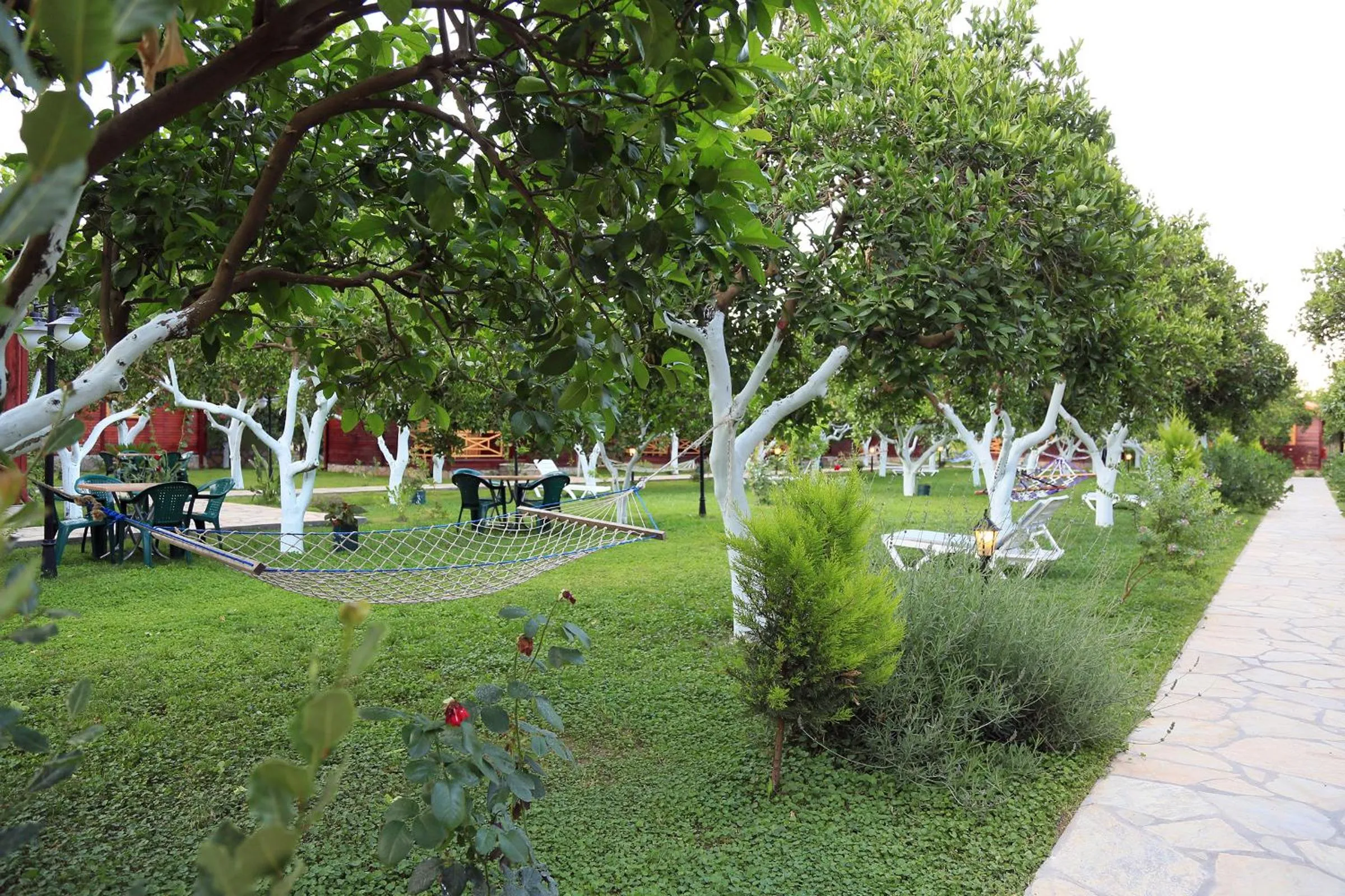 Garden in Mercan Bungalow