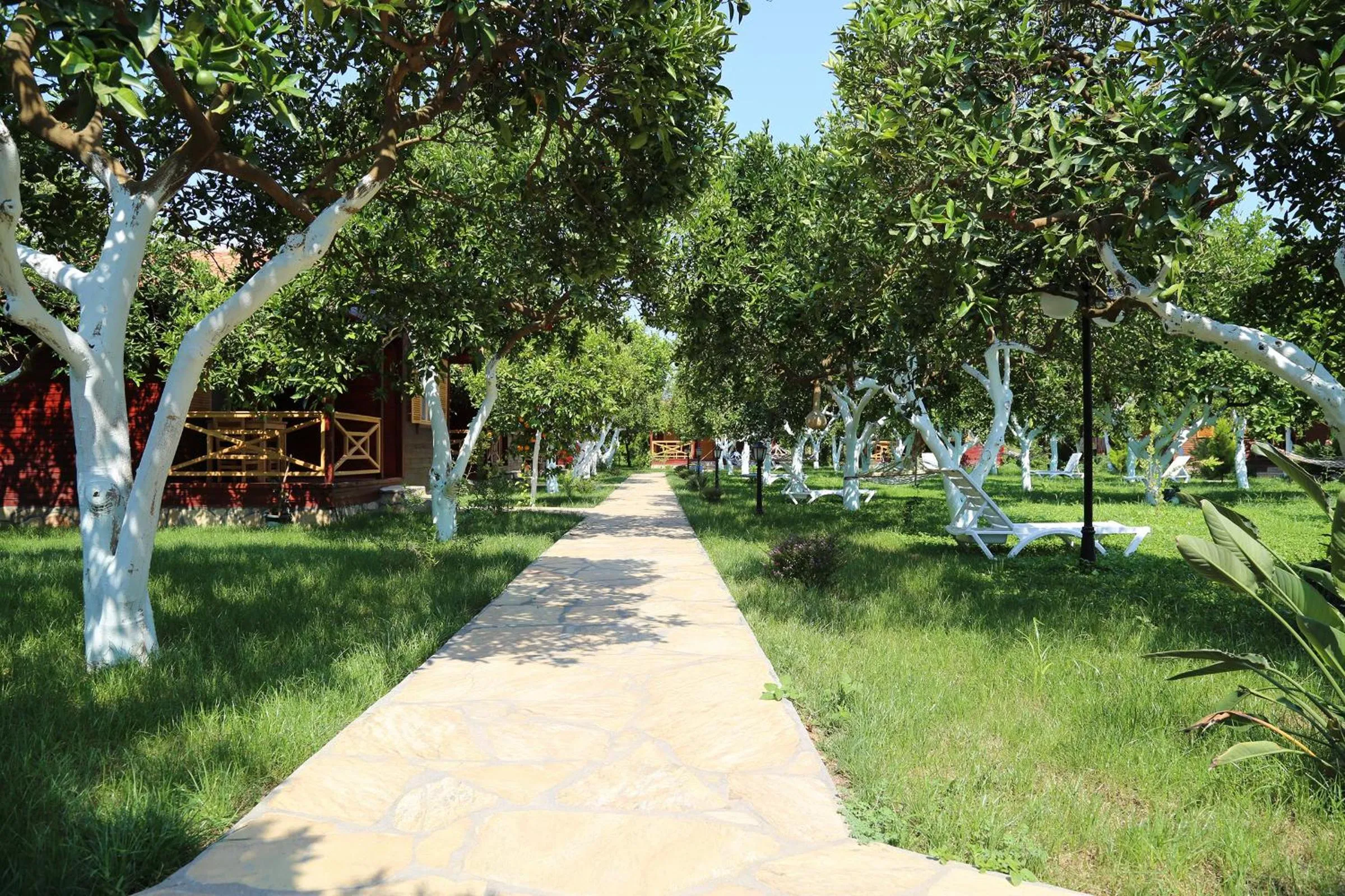 Facade/entrance in Mercan Bungalow