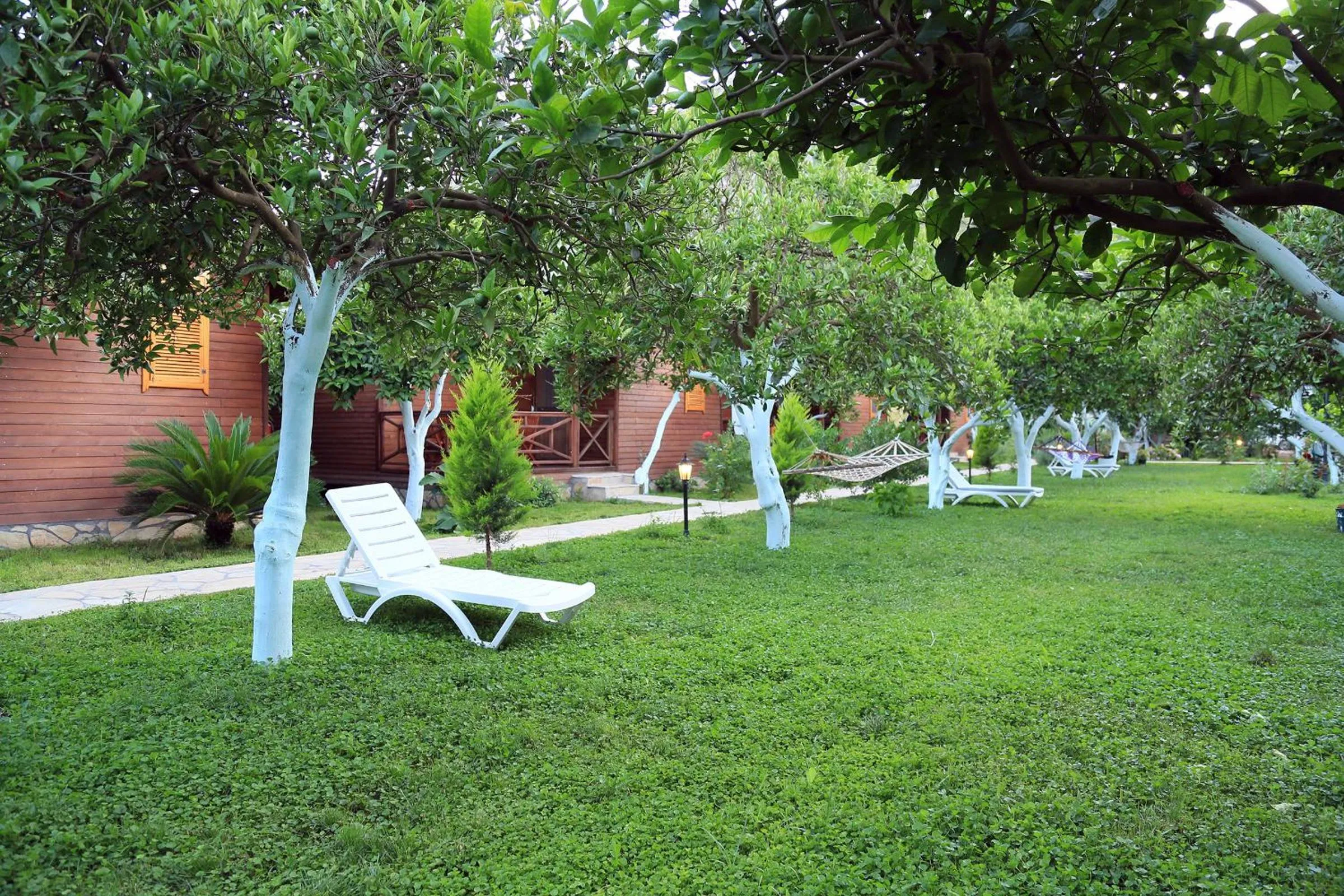 Garden in Mercan Bungalow