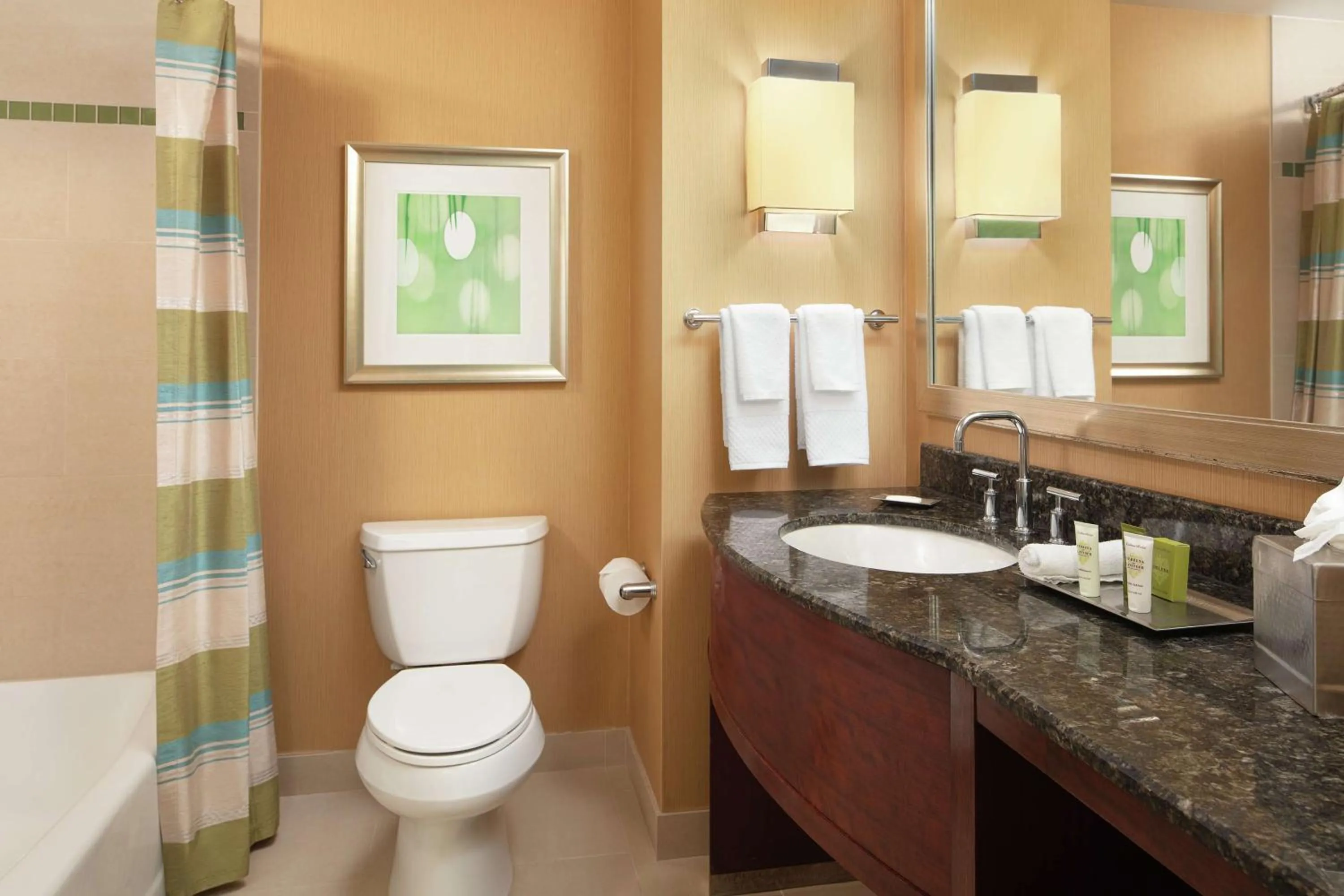 Bathroom in Hilton Orlando