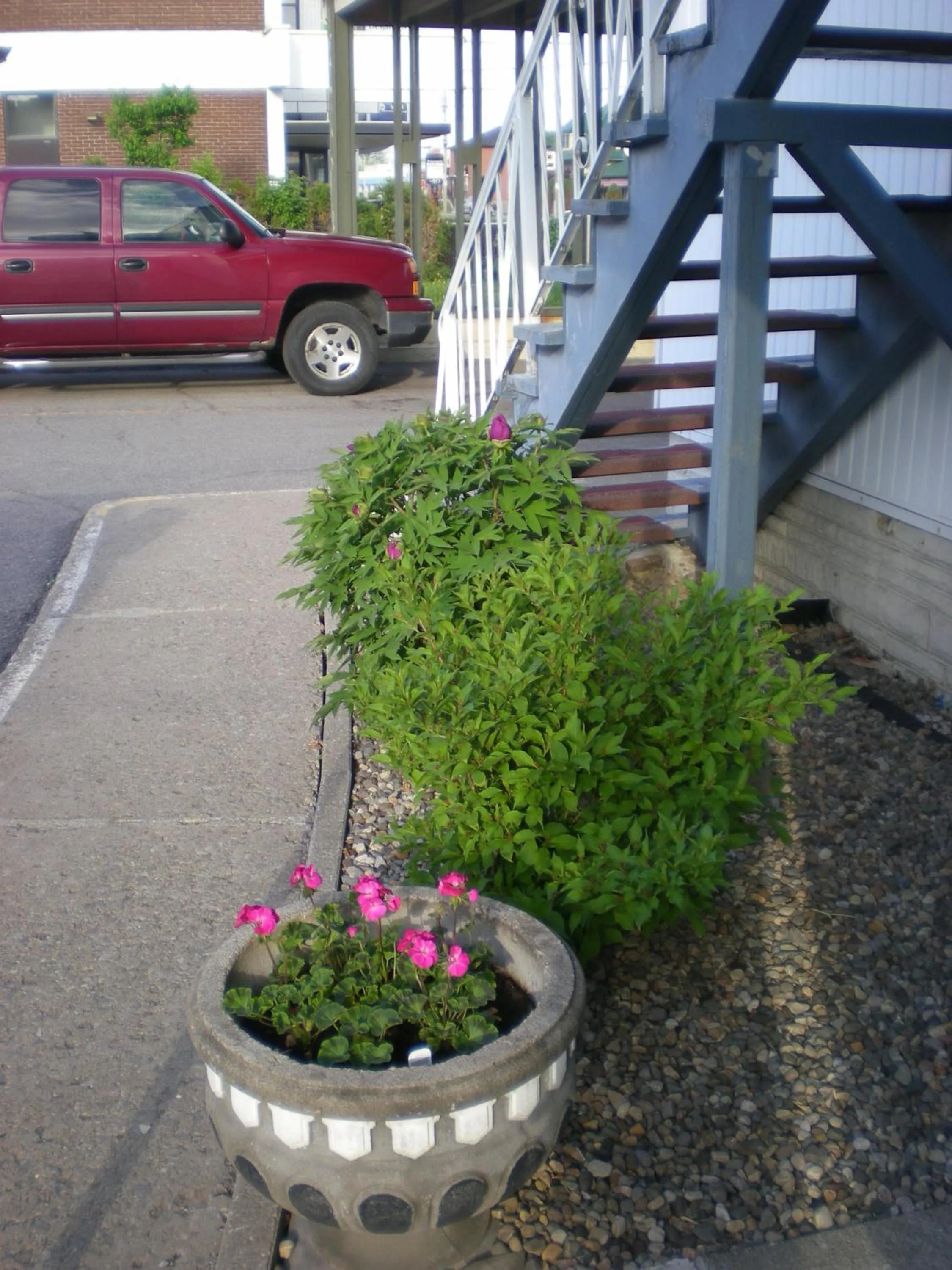 Garden in Motel Seigneurie de Vaudreuil