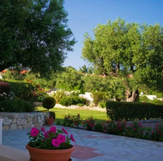 Garden in Aphrodite Studios