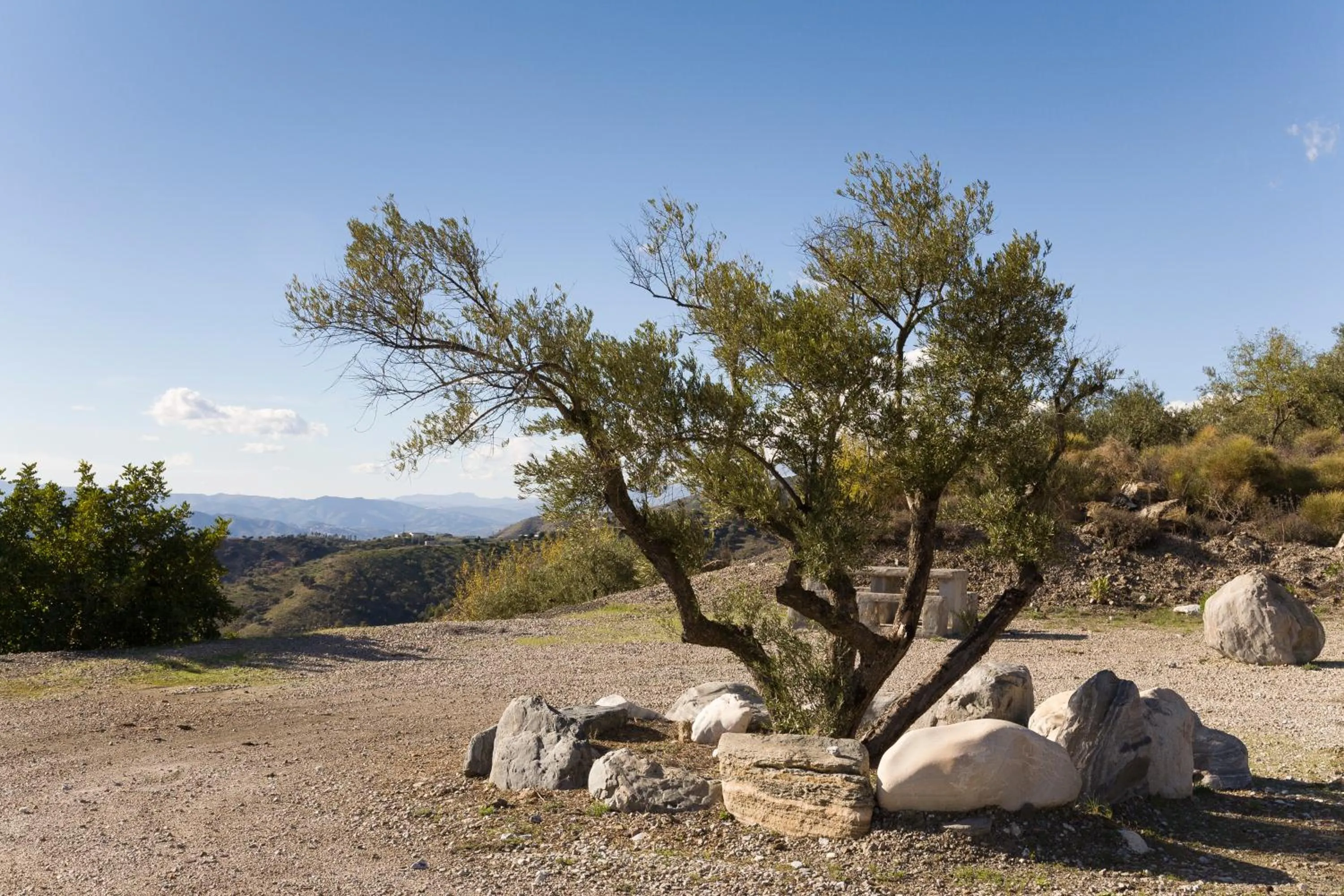 Nearby landmark in Bed&Breakfast Al Campanario