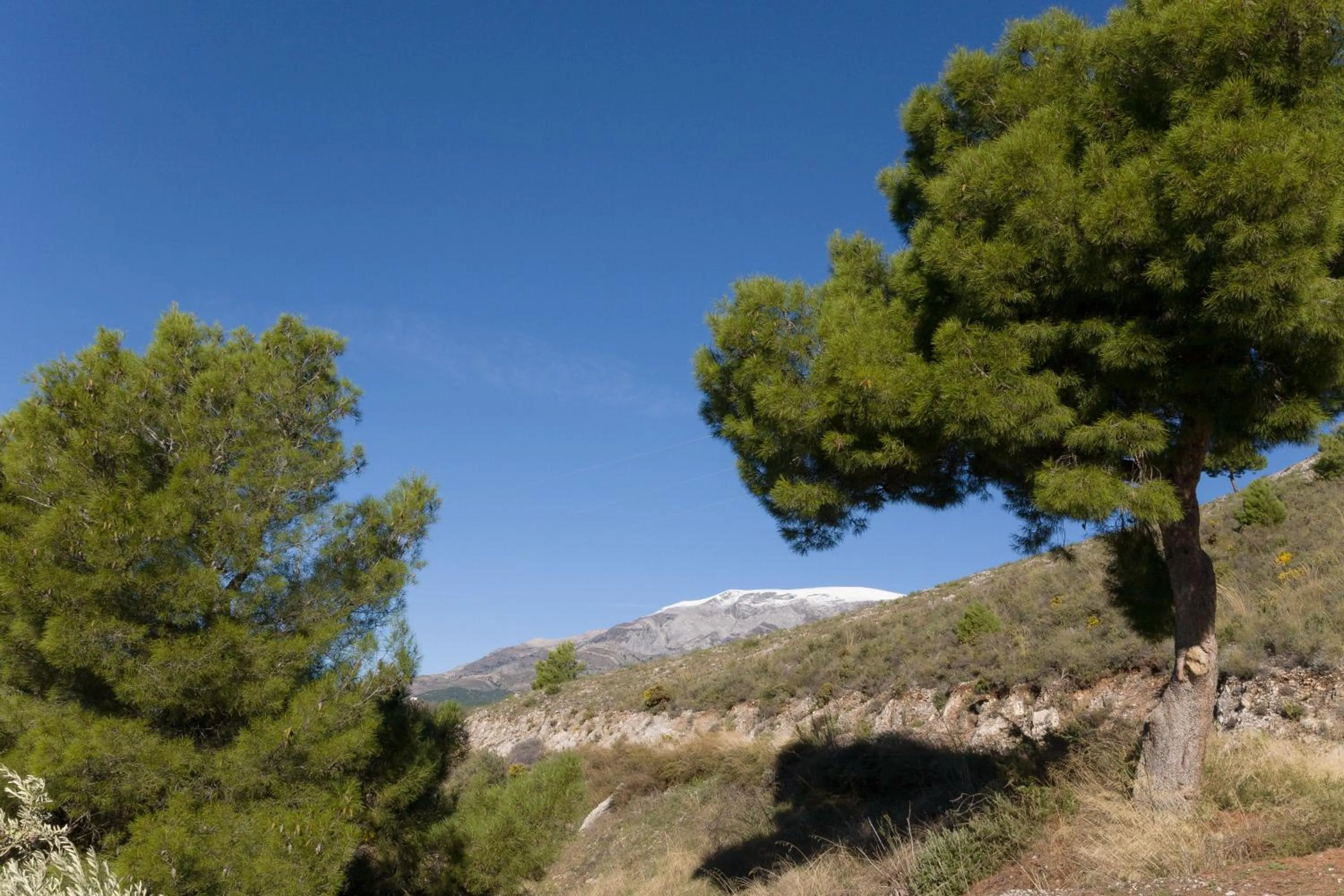 Natural landscape in Bed&Breakfast Al Campanario