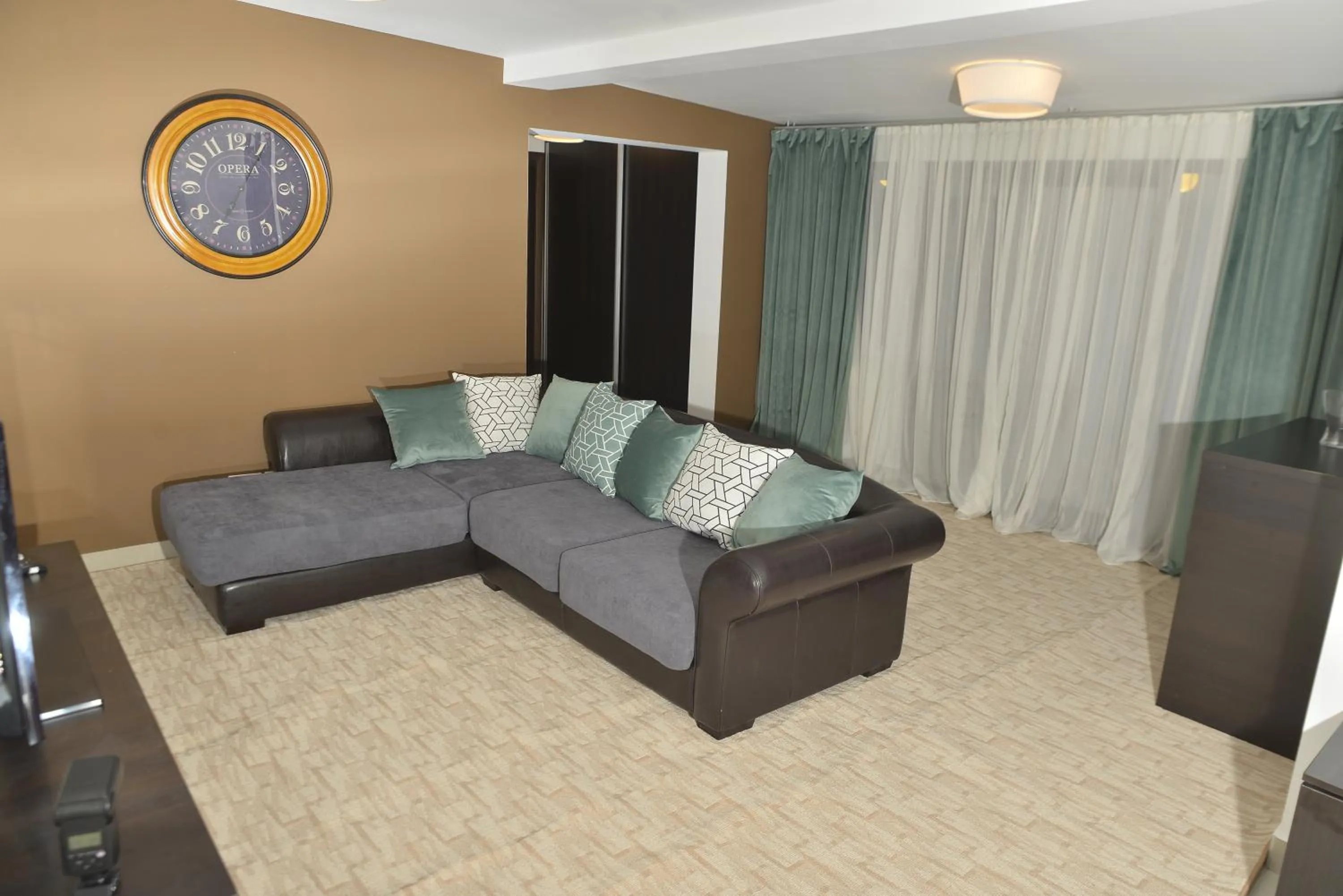 Living room in Elysium