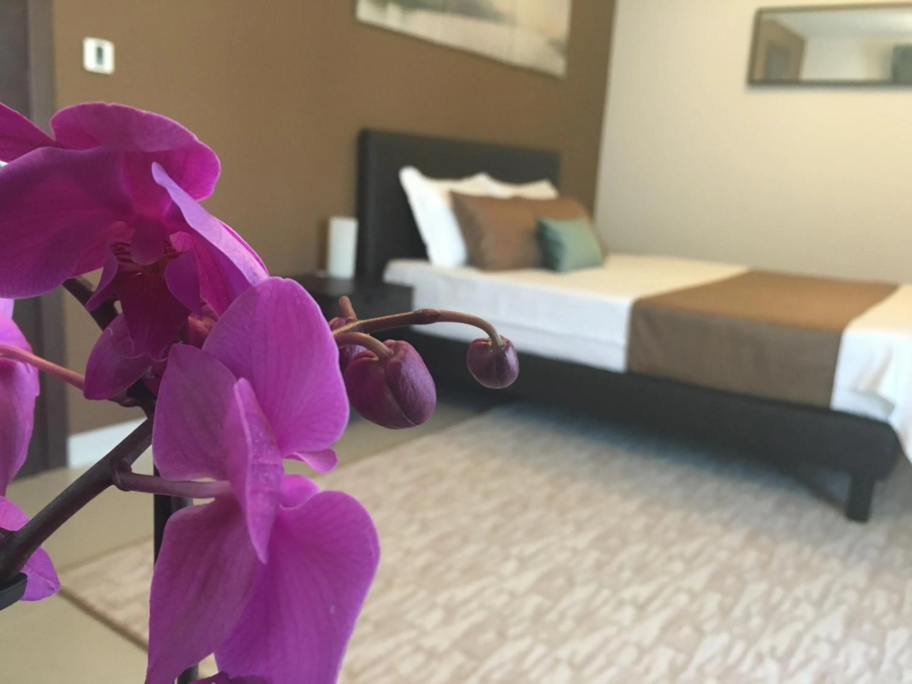 Decorative detail, Bed in Elysium