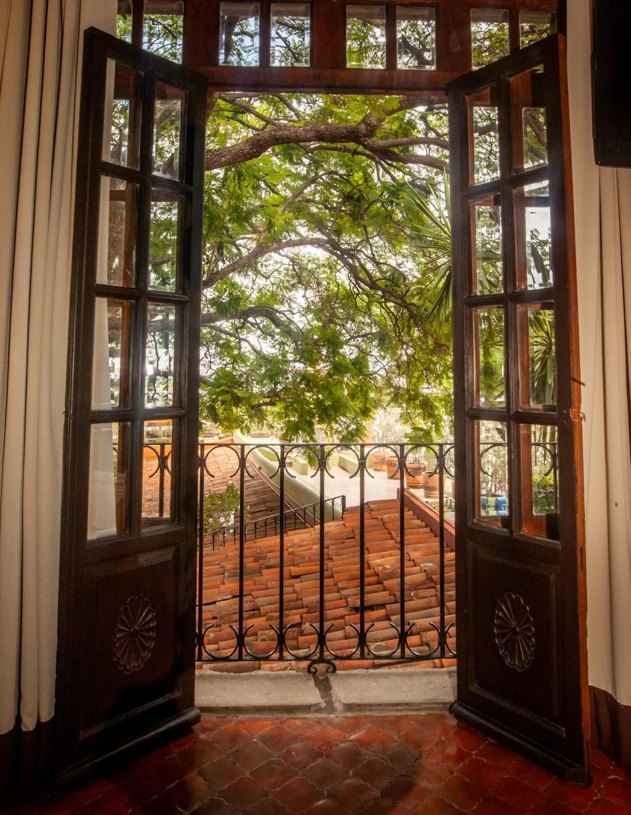 View (from property/room) in Casa Schuck Boutique Hotel