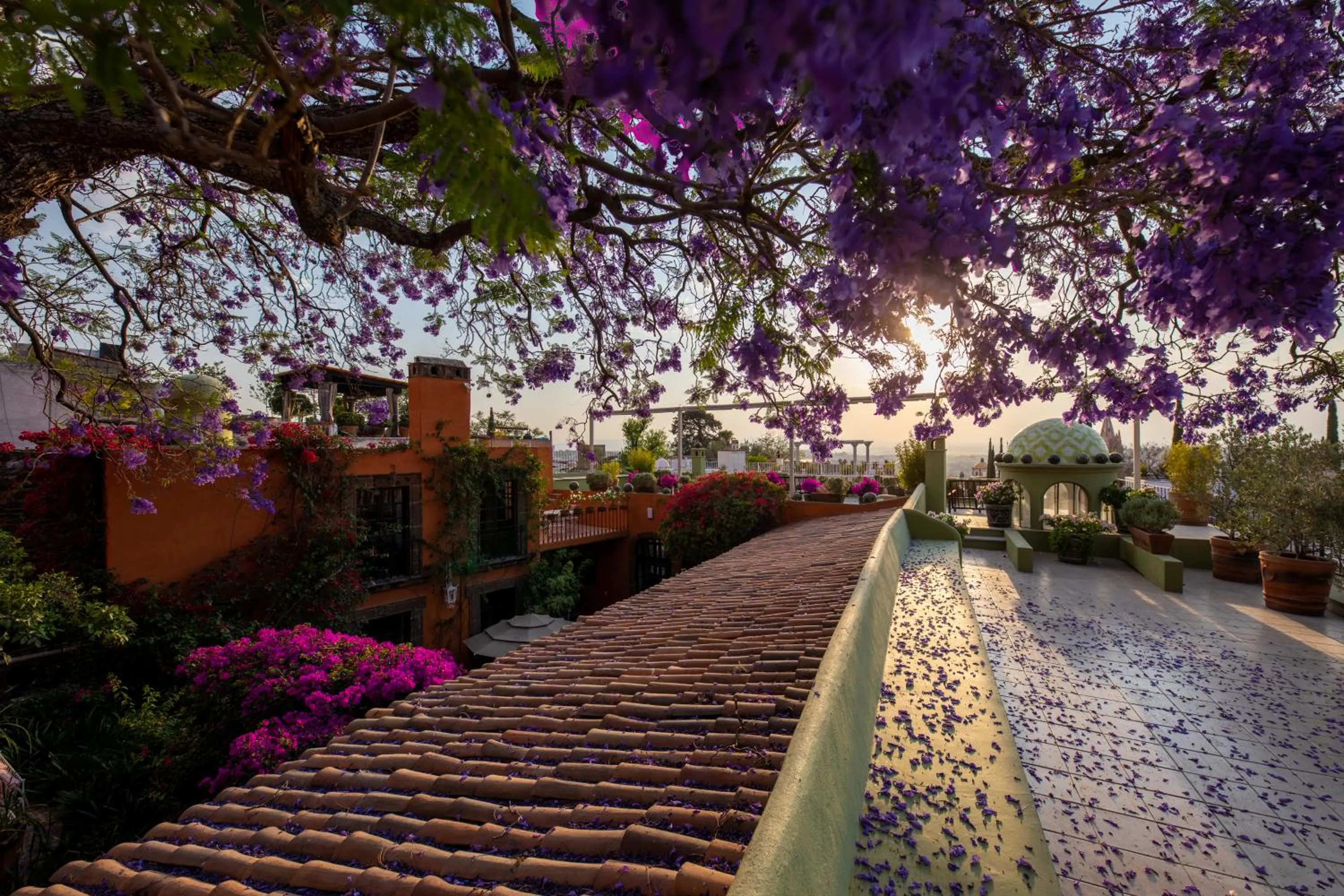 Spring in Casa Schuck Boutique Hotel