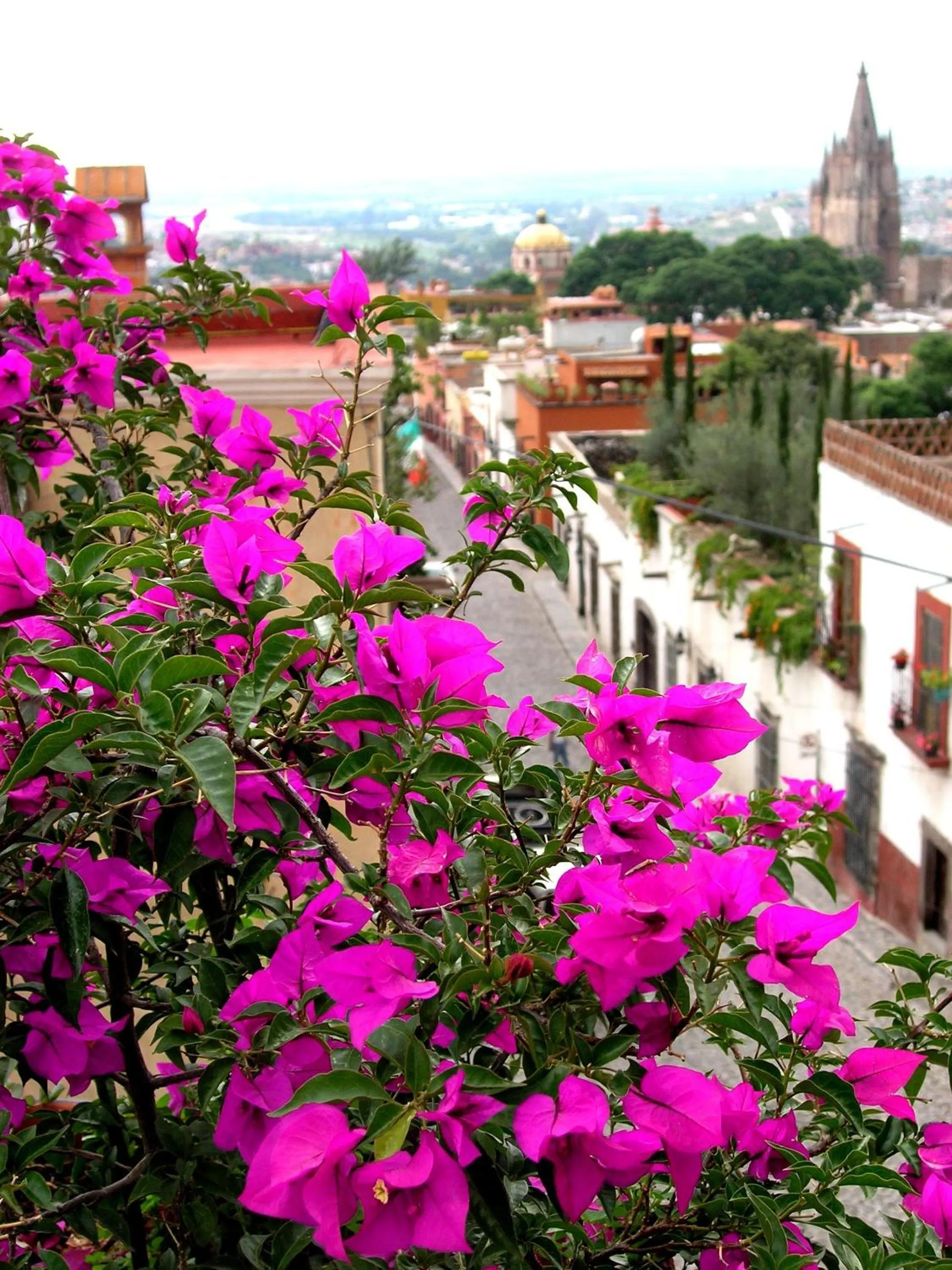 Decorative detail in Casa Schuck Boutique Hotel