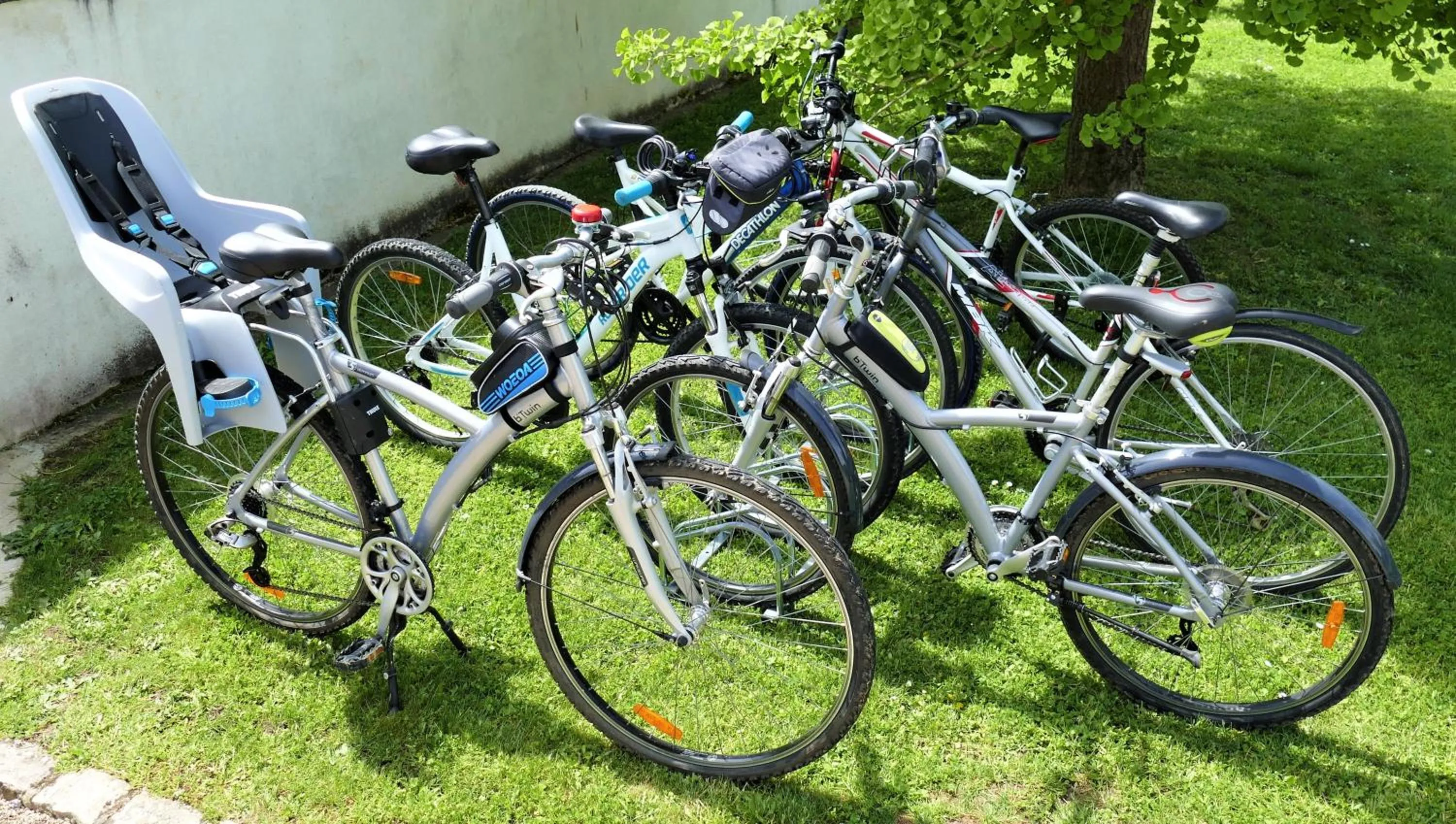 Garden in Les Grands Crus - gîte "Meursault"