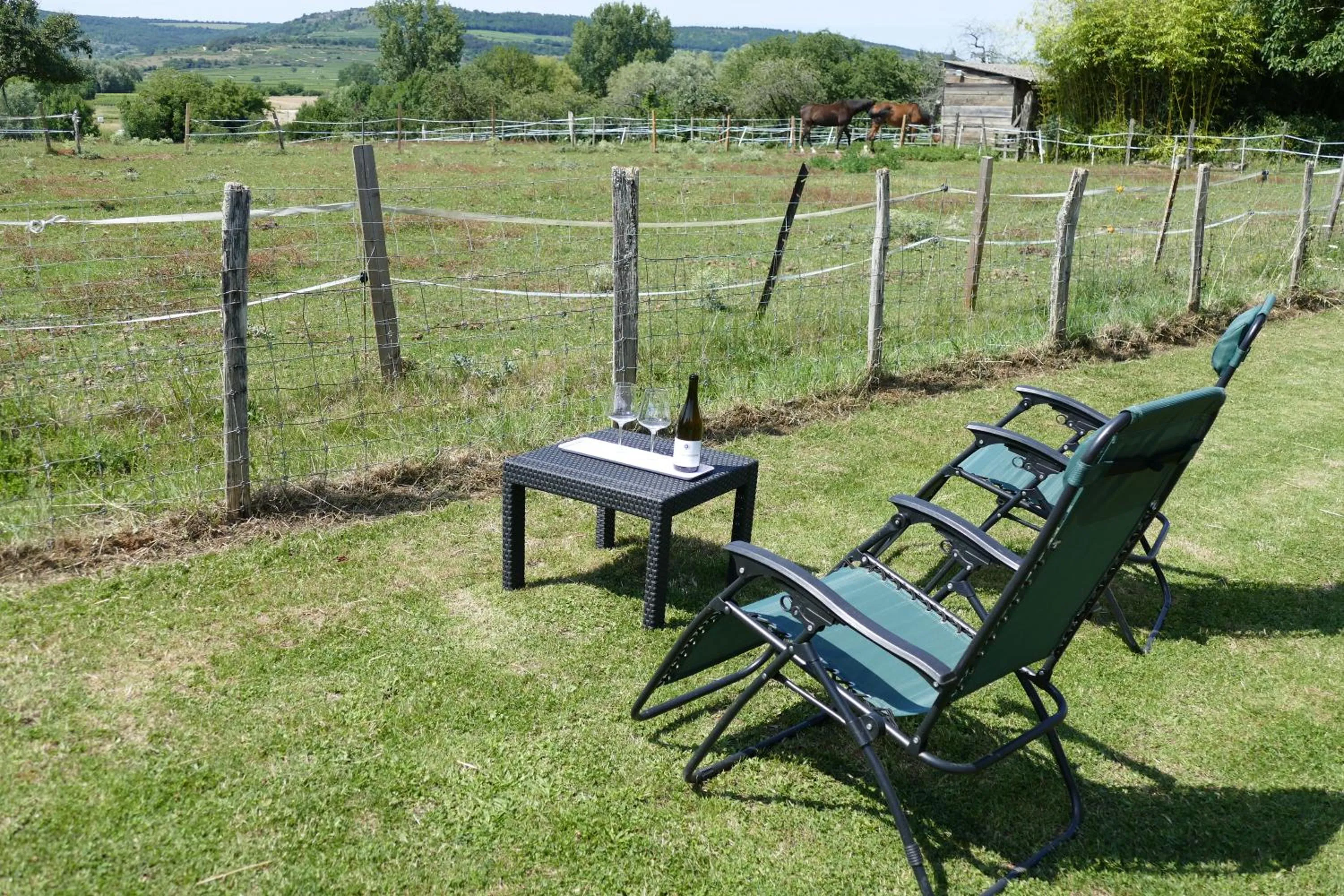 Balcony/Terrace in Les Grands Crus - gîte "Meursault"