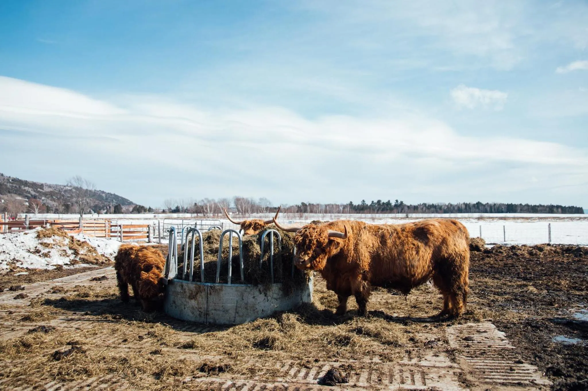 Hôtel & Spa Le Germain Charlevoix