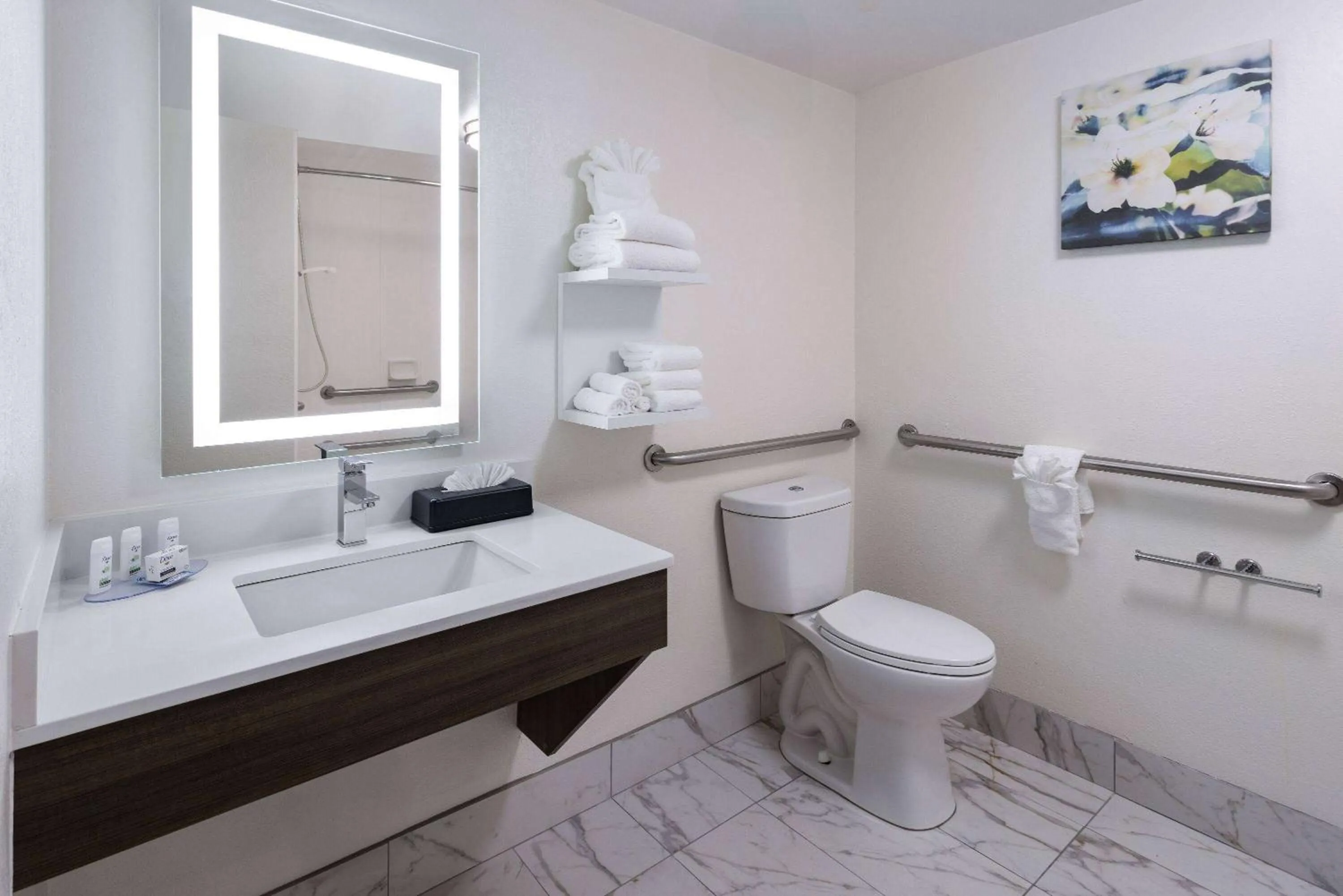 Bathroom in La Quinta by Wyndham Atlanta South - Newnan