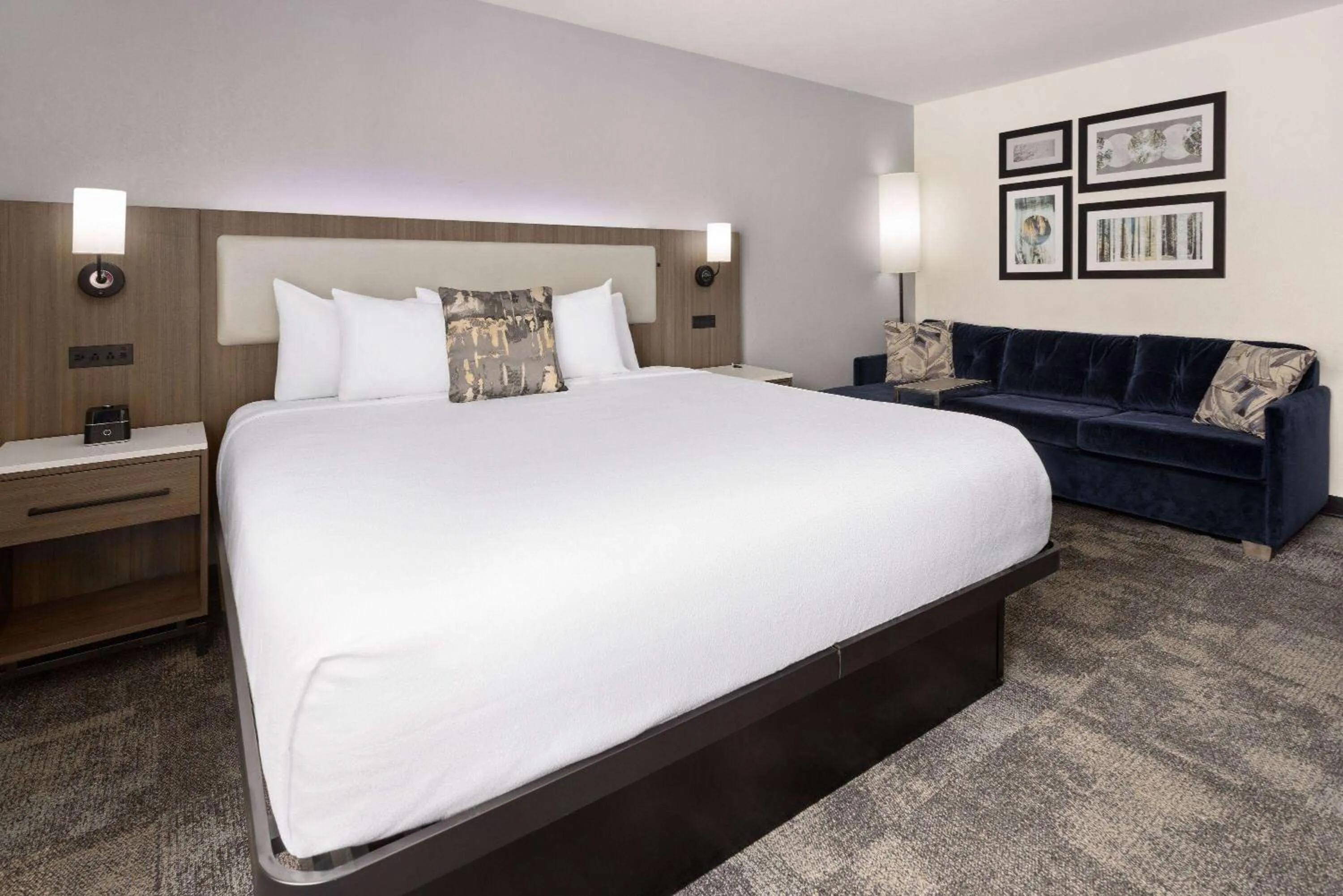 Photo of the whole room, Bed in La Quinta by Wyndham Atlanta South - Newnan