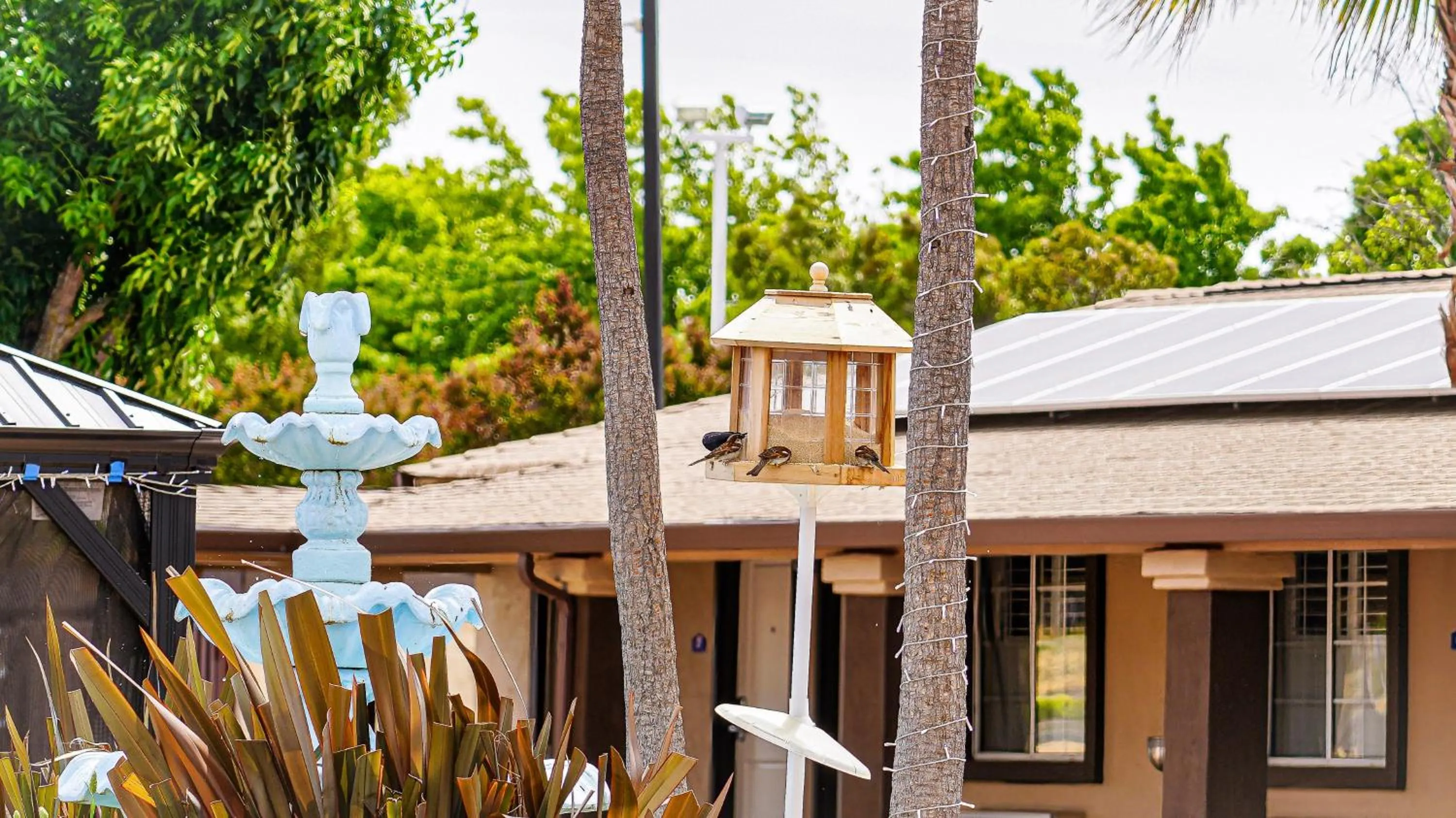 Americas Best Value Inn, Antioch