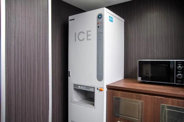 Area and facilities in Niigata Daiichi Hotel