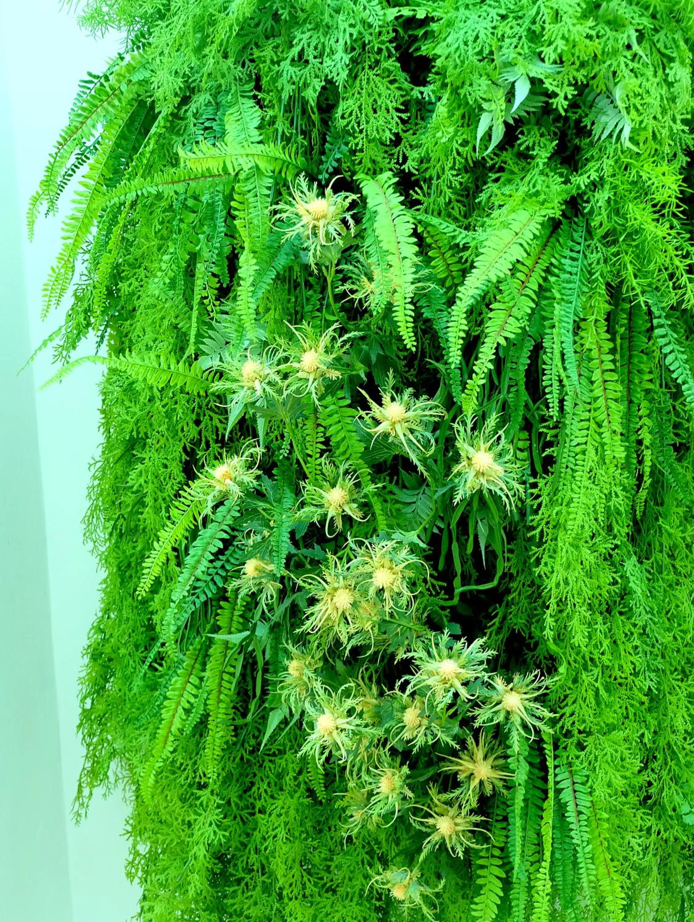 Montana Hotel Songkhla