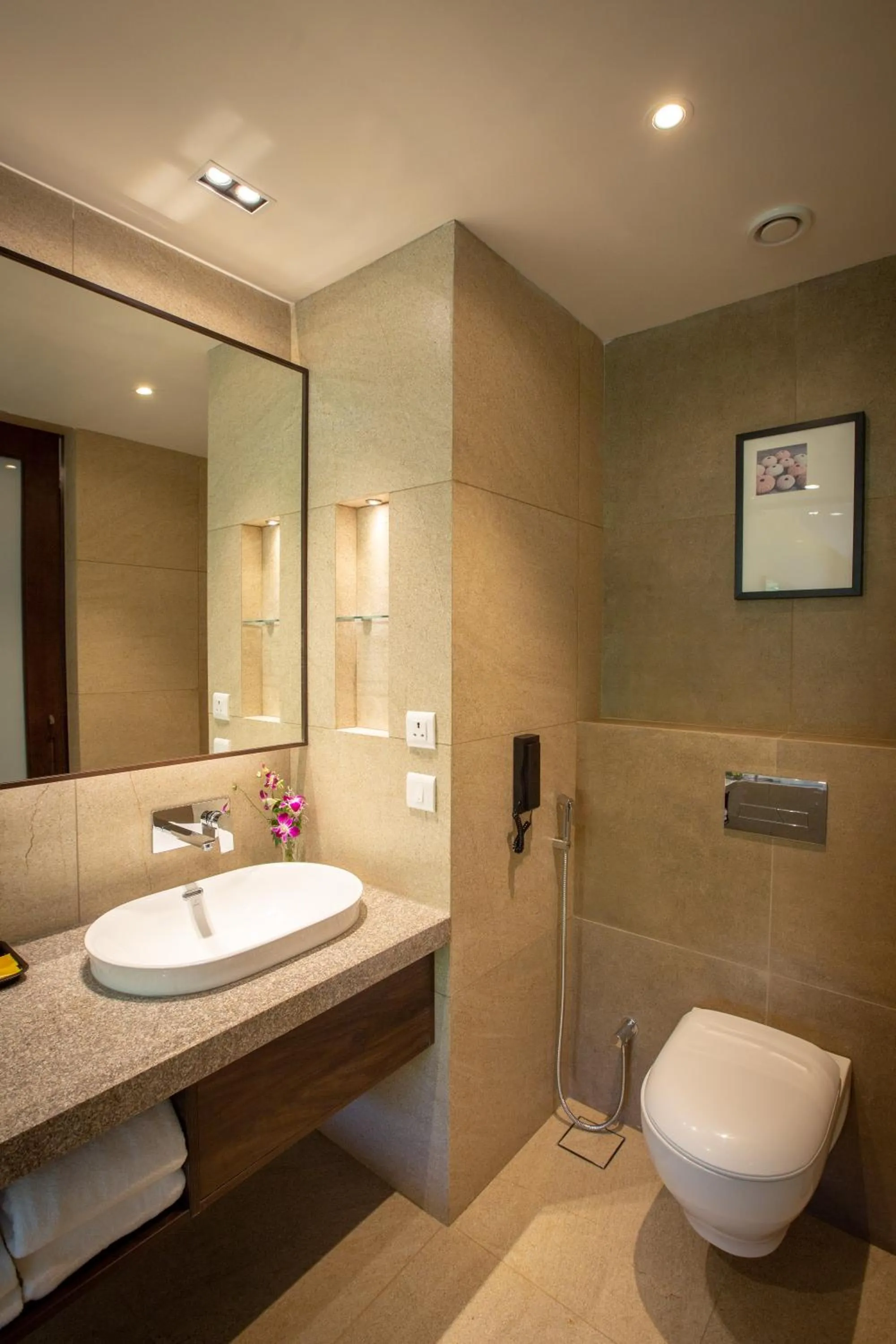 Toilet in Nanu Resort , Arambol