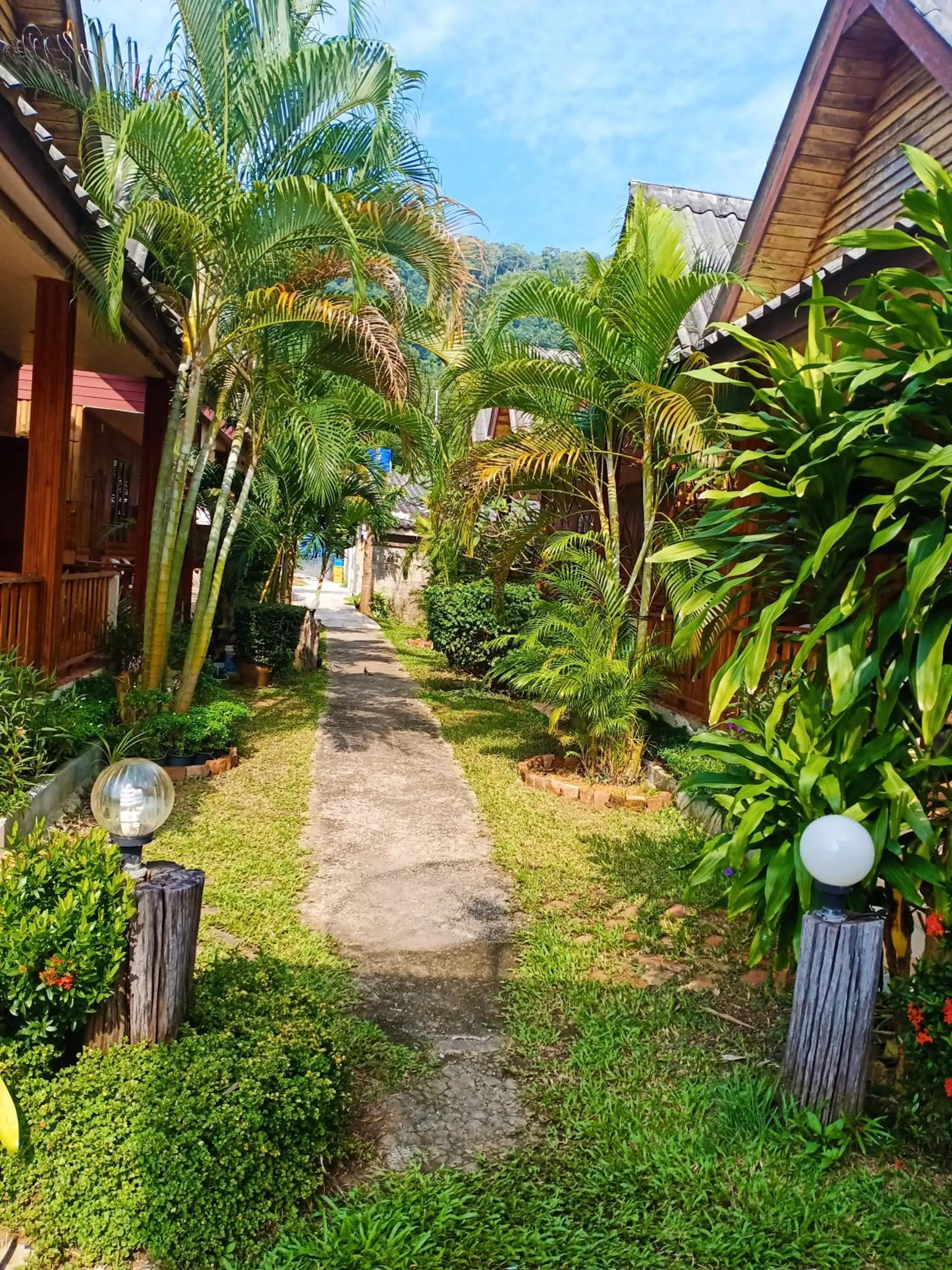Garden in Poonsap Resort