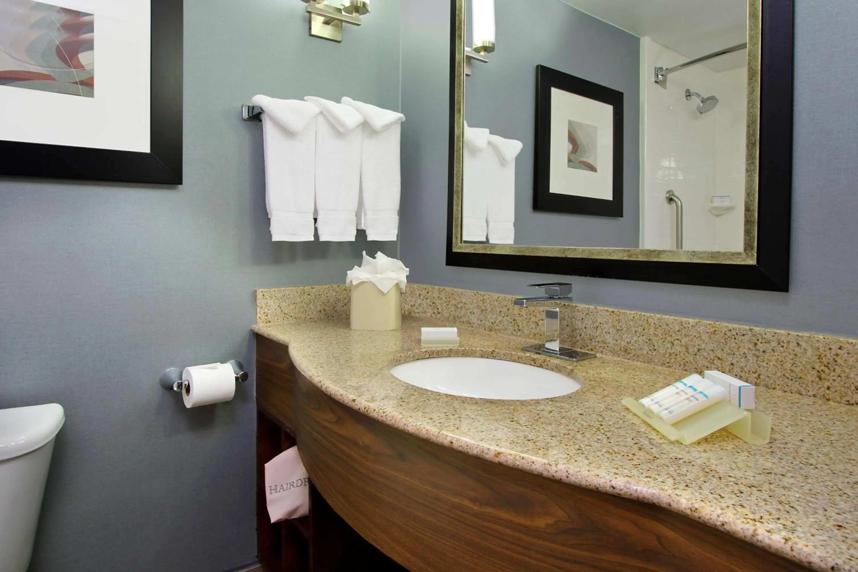 Bathroom in Hilton Garden Inn Austin NorthWest/Arboretum
