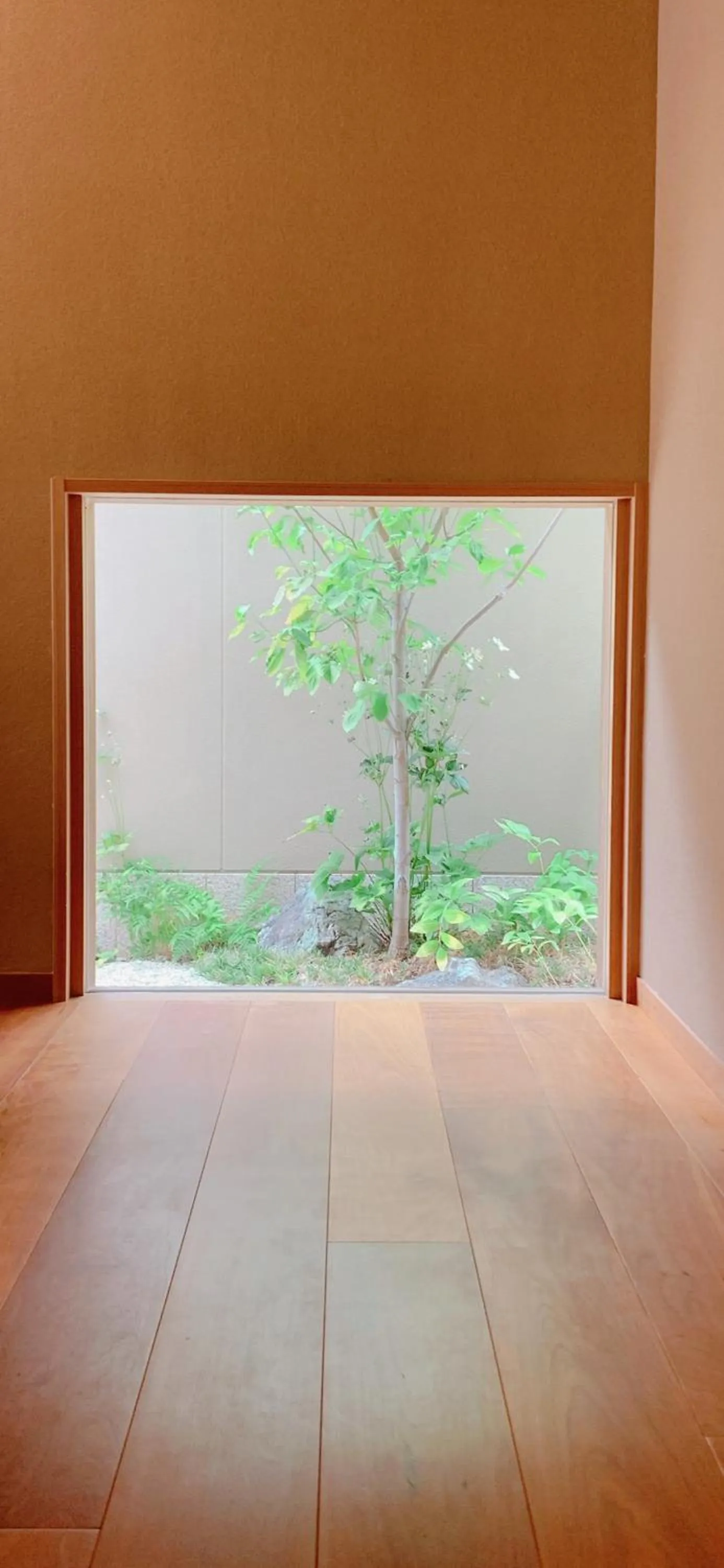 Garden in Maru Izumiyacho