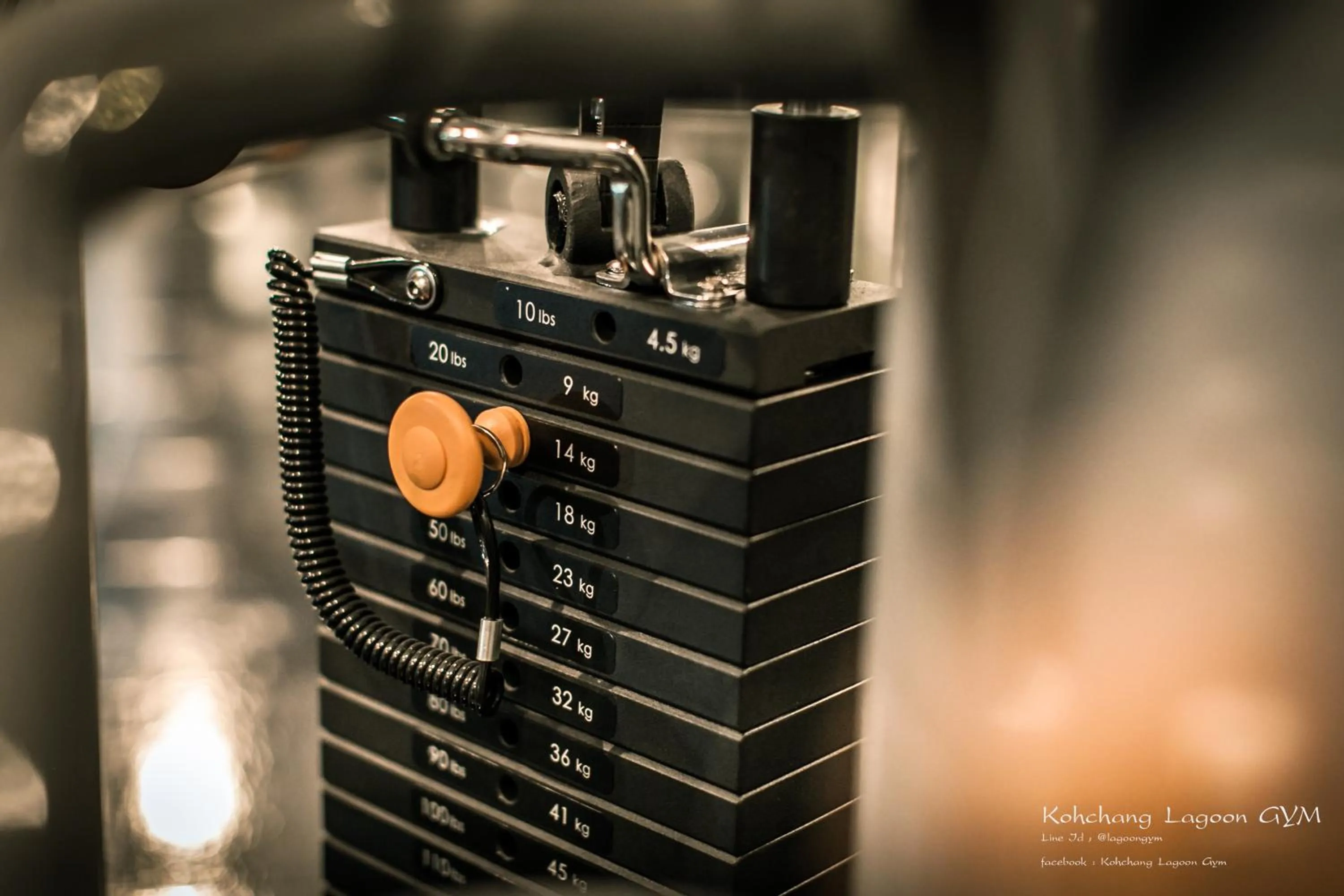 Fitness centre/facilities in White Sand Princess