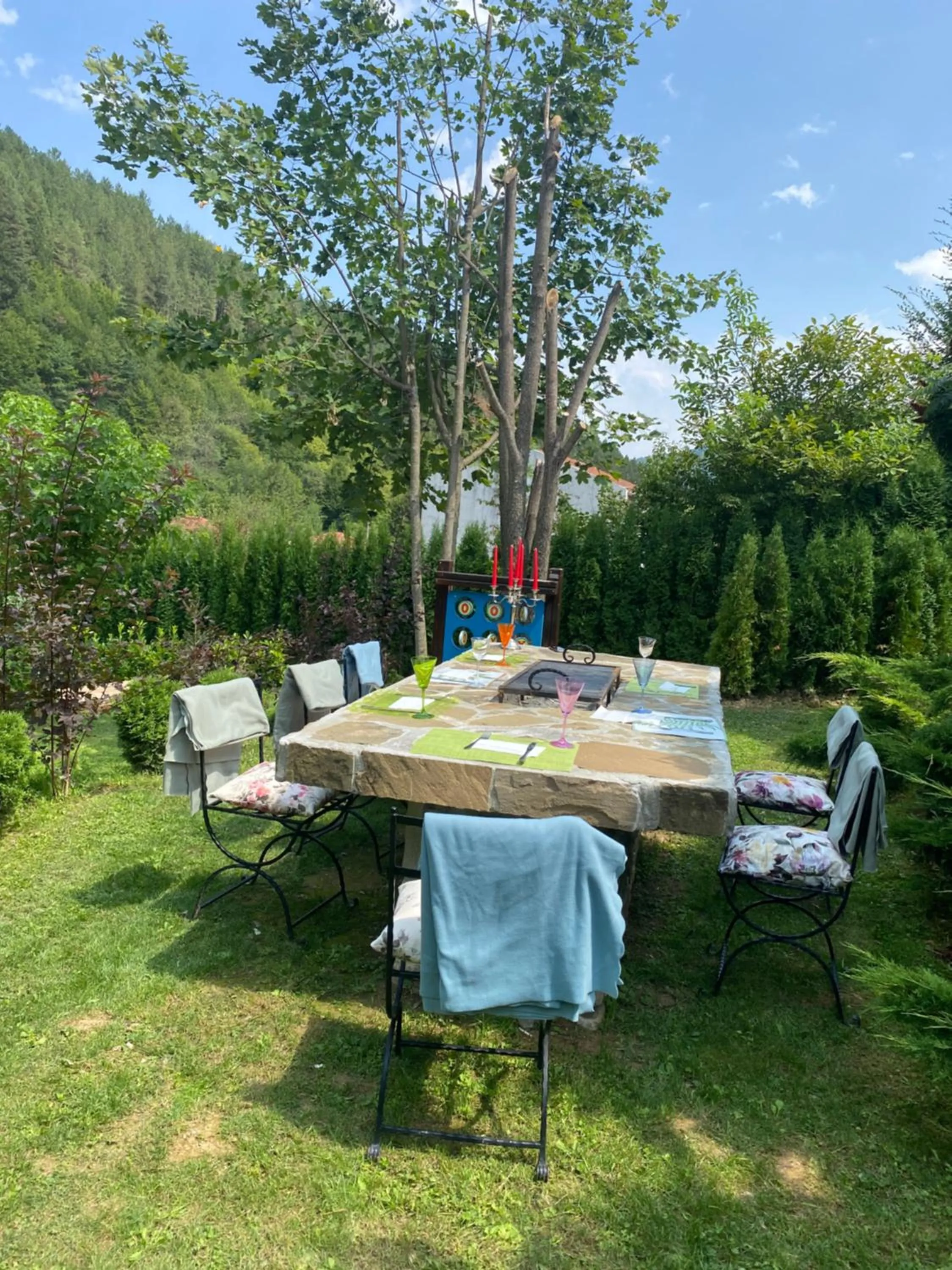 BBQ facilities in Park Hotel Fairy