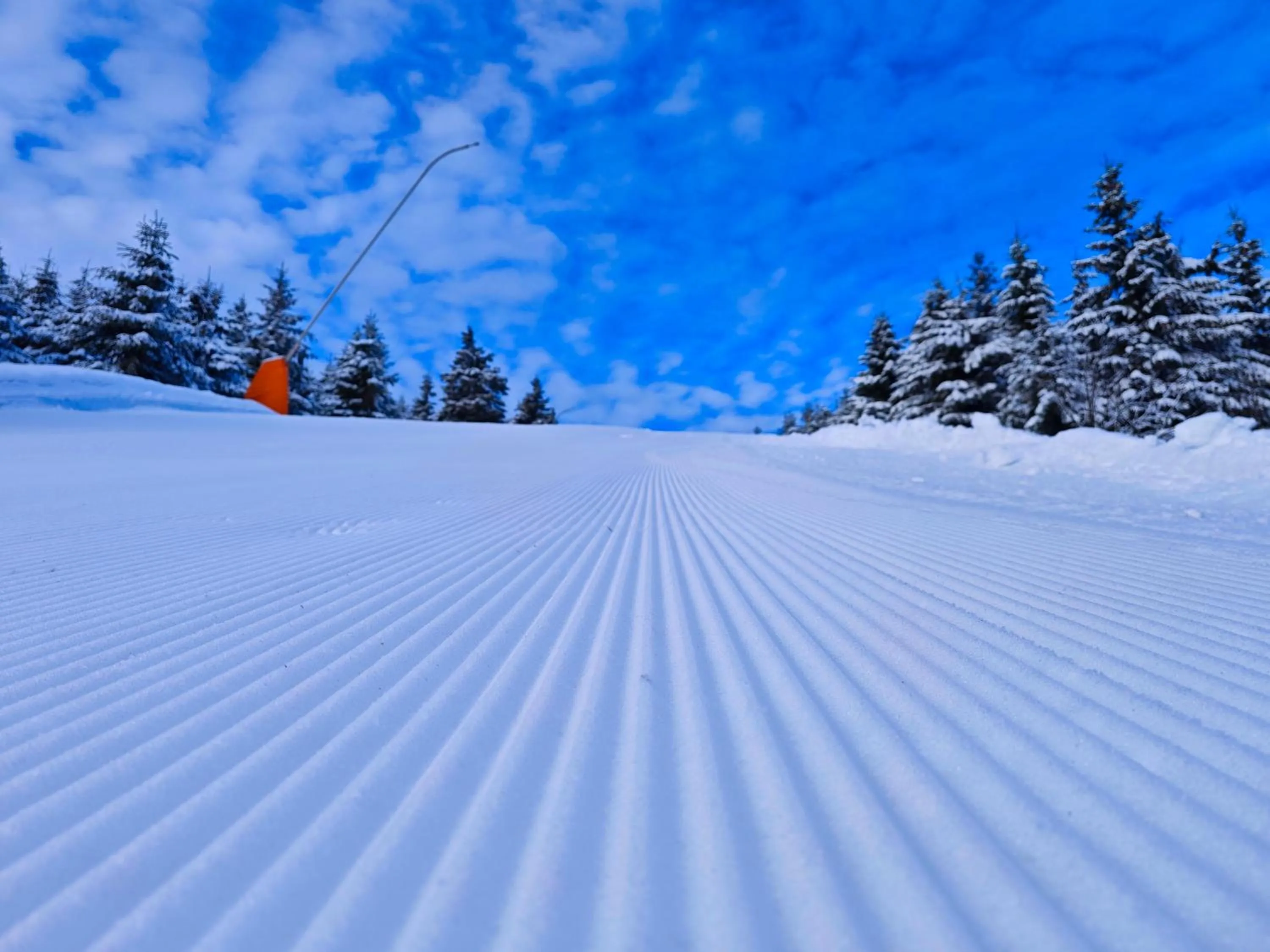 Skiing in APARTMÁNY 91 Boží Dar