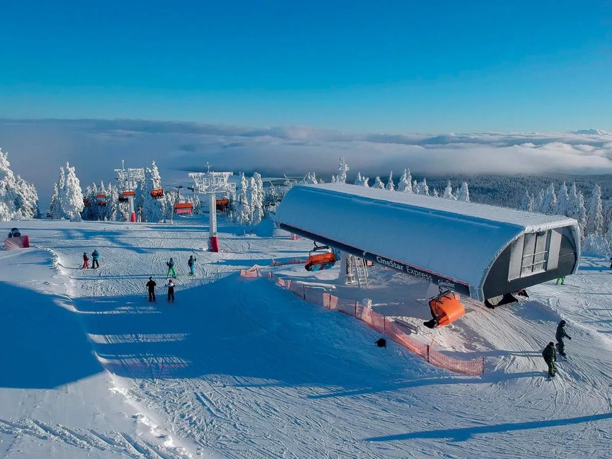 Skiing in APARTMÁNY 91 Boží Dar
