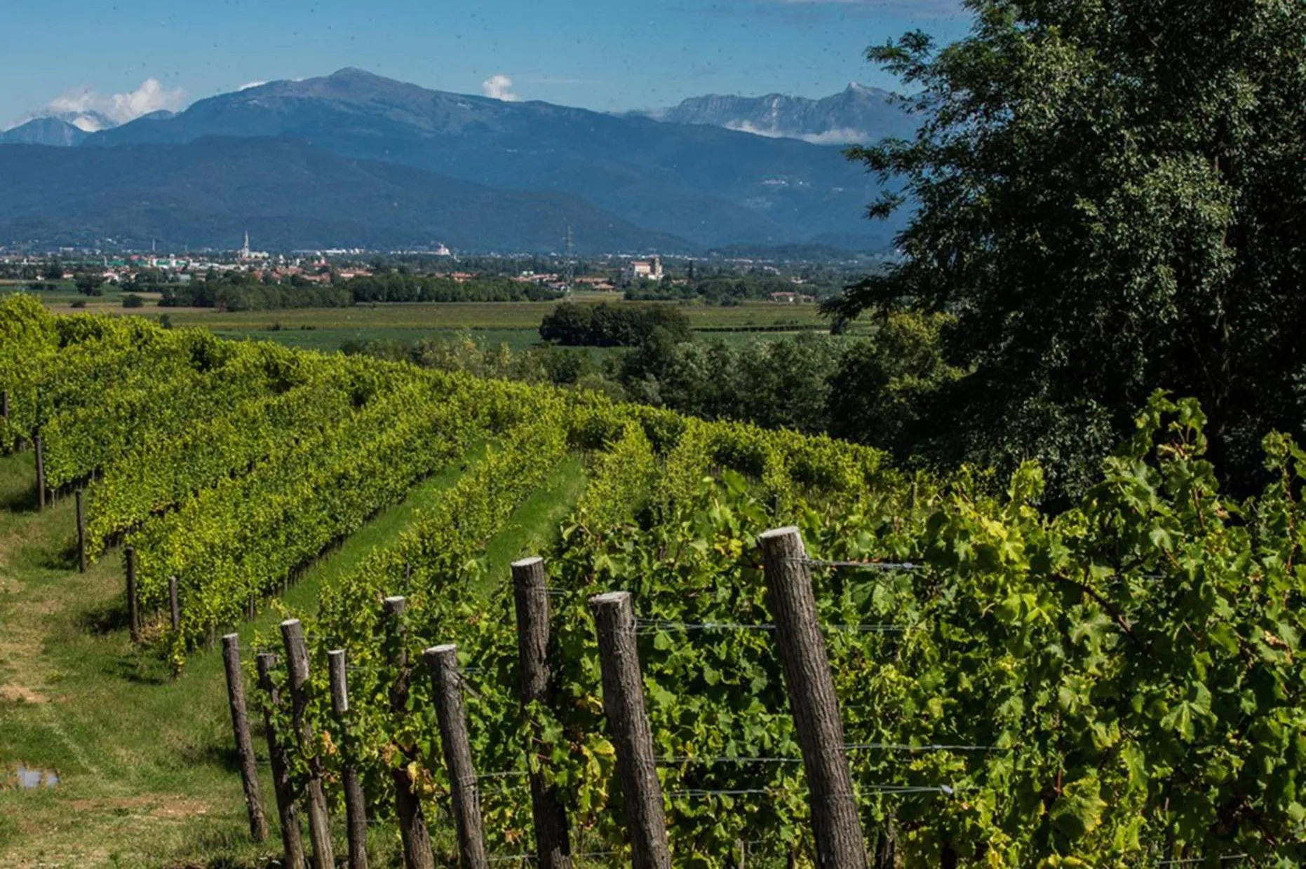 Natural landscape in Delparco Hotel