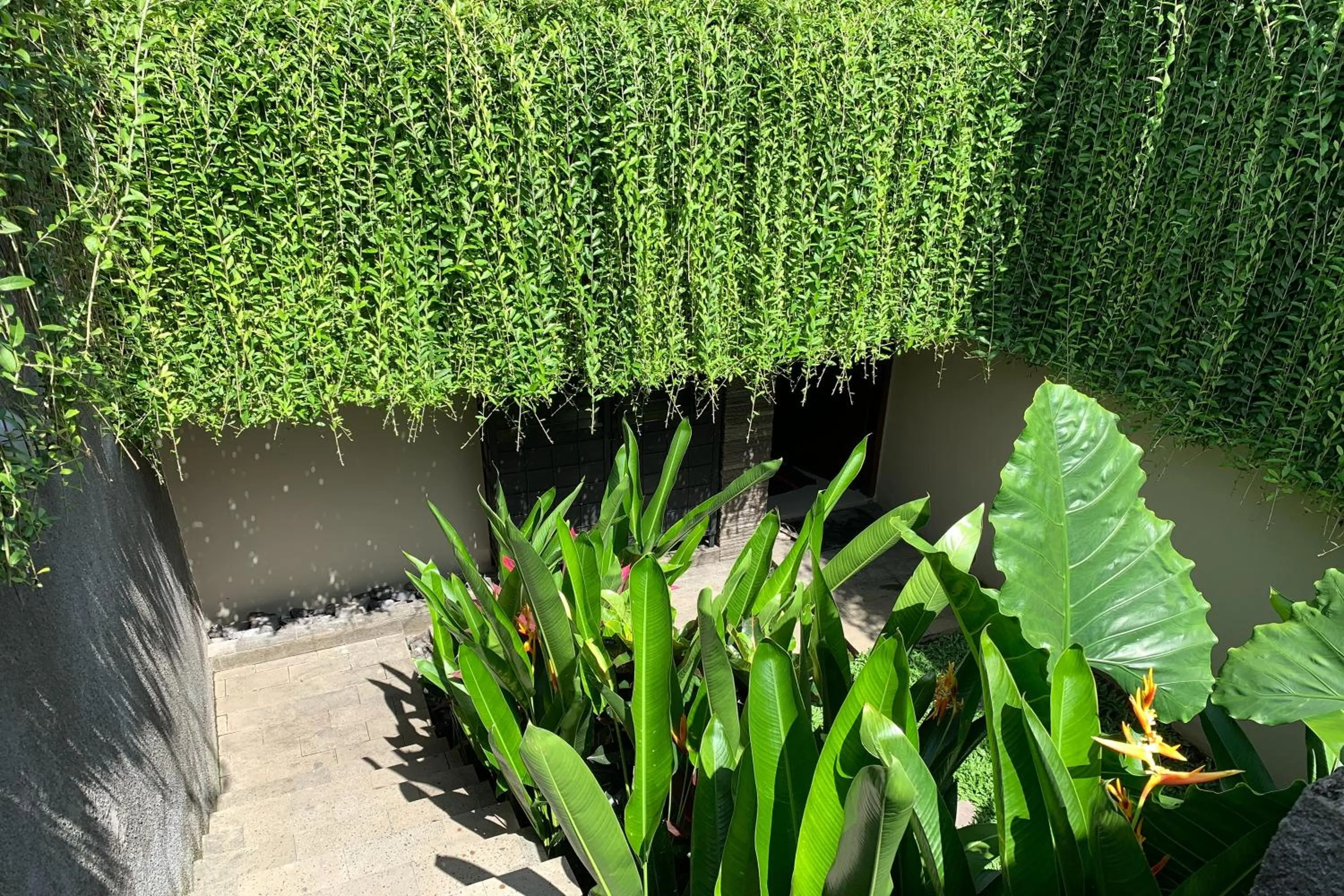 Garden view in The Ocean Views Luxury Villas & Apartment