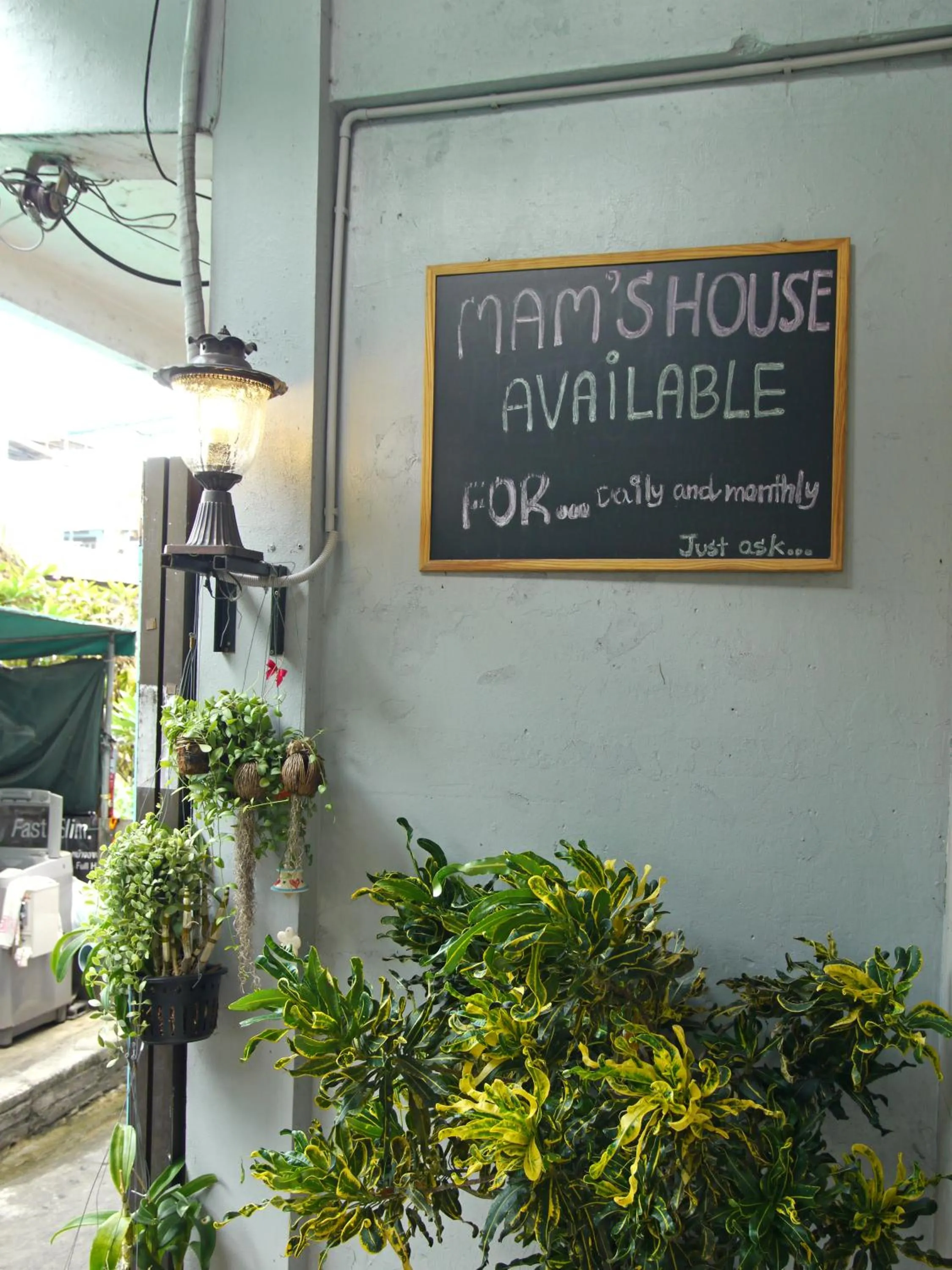 Decorative detail in Mam's House Khaosan