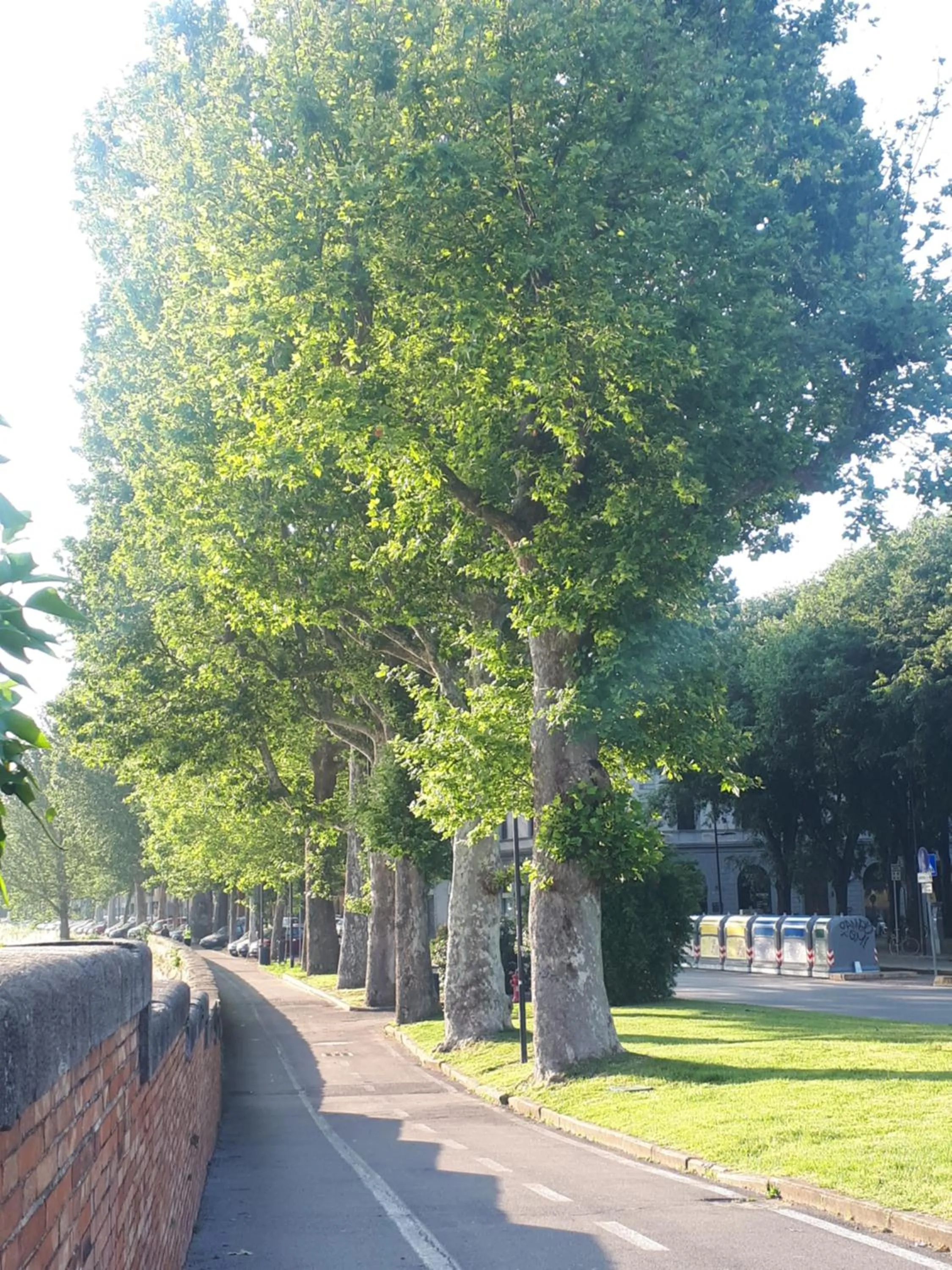 Neighbourhood in Hotel Ferrucci