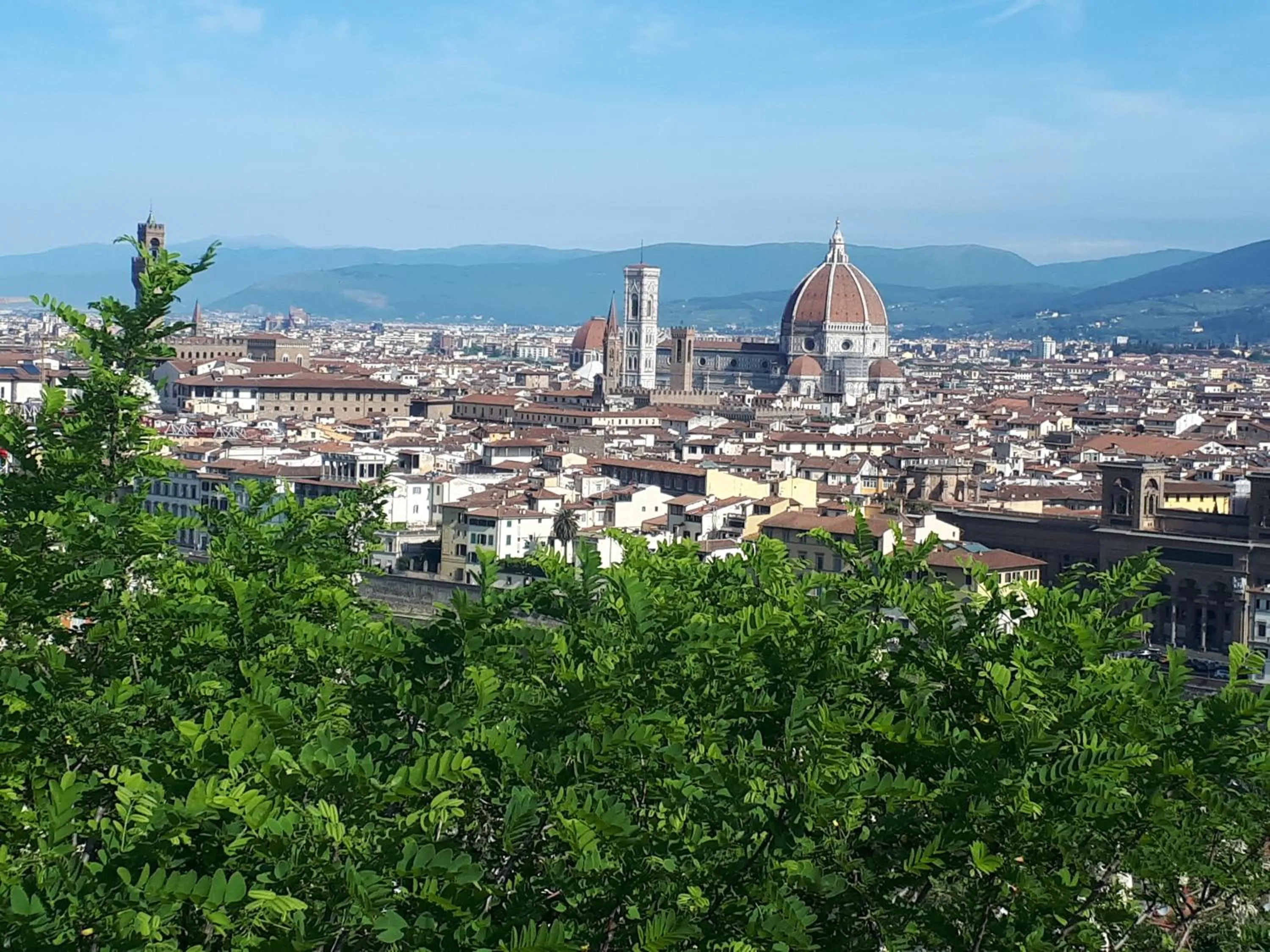 Activities in Hotel Ferrucci