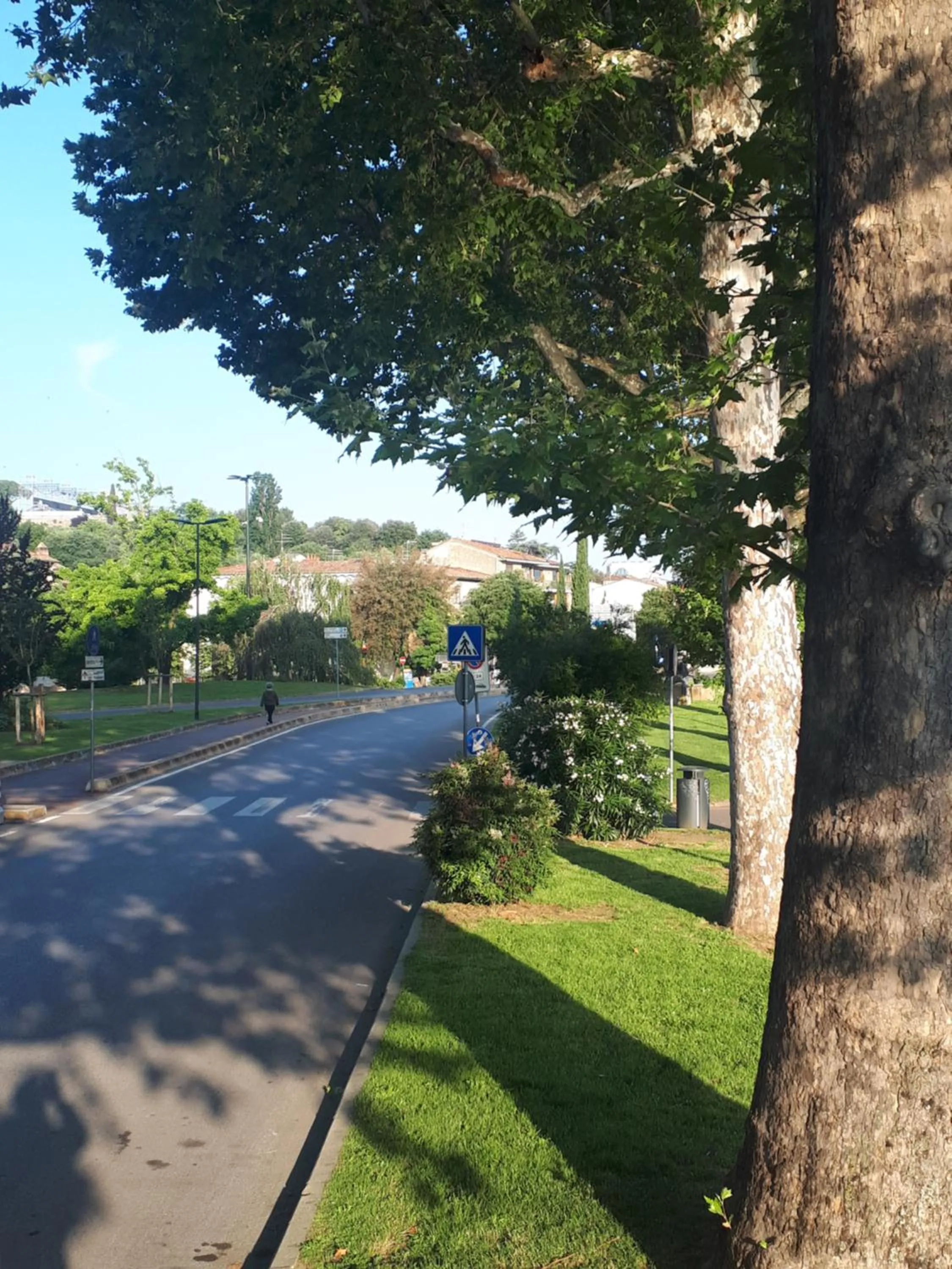 Neighbourhood in Hotel Ferrucci