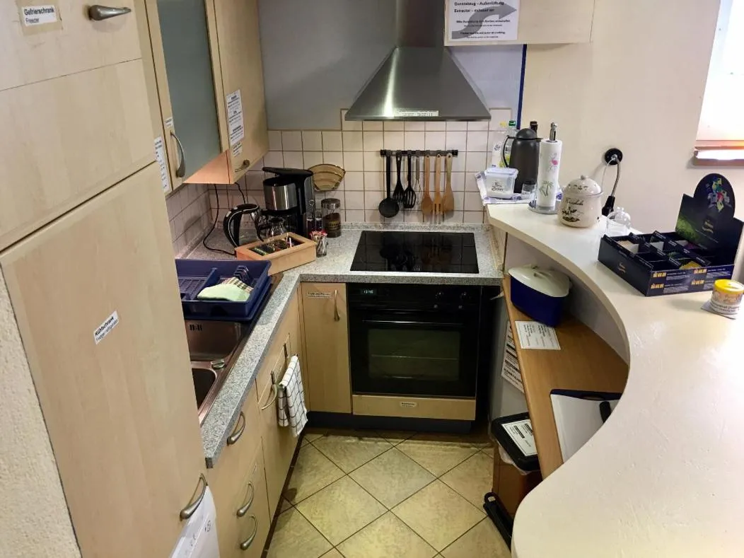 Kitchen or kitchenette in Apartment Palmié