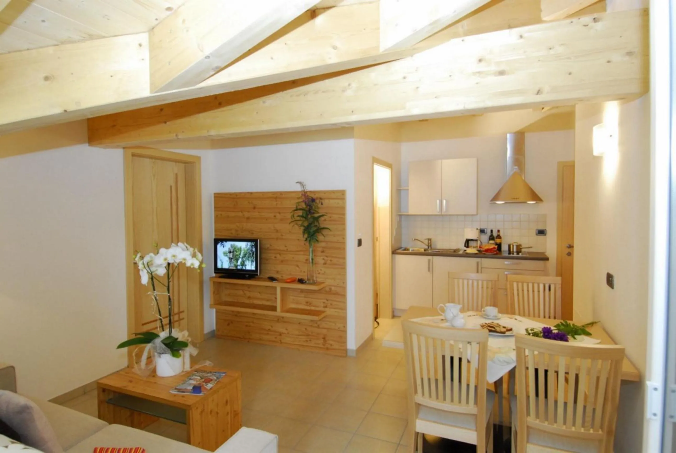 TV and multimedia in Residence Remi