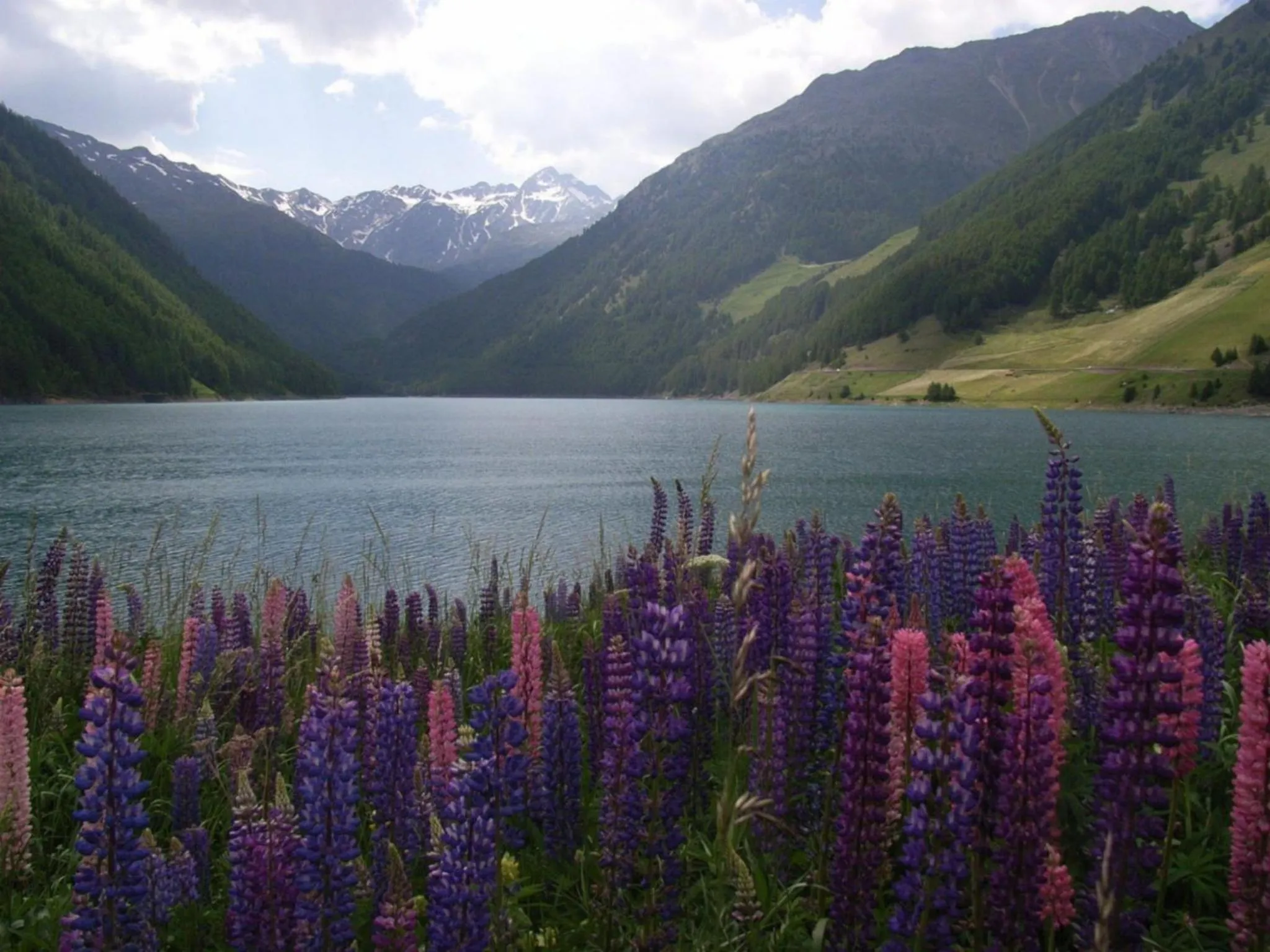 Summer in Residence Remi