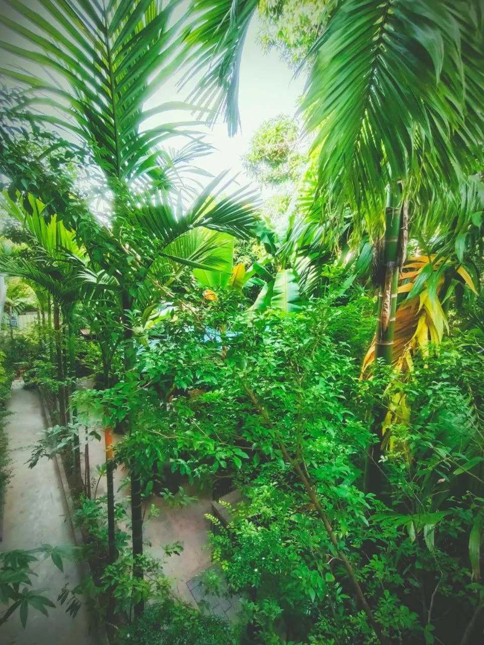 Garden view in Green Stay Village