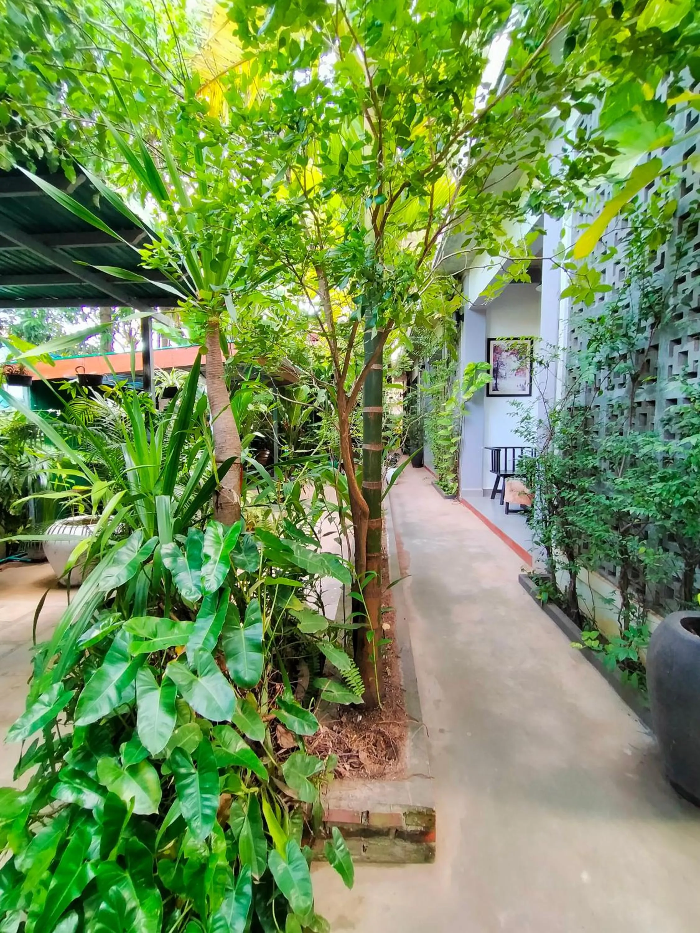 Natural landscape in Green Stay Village