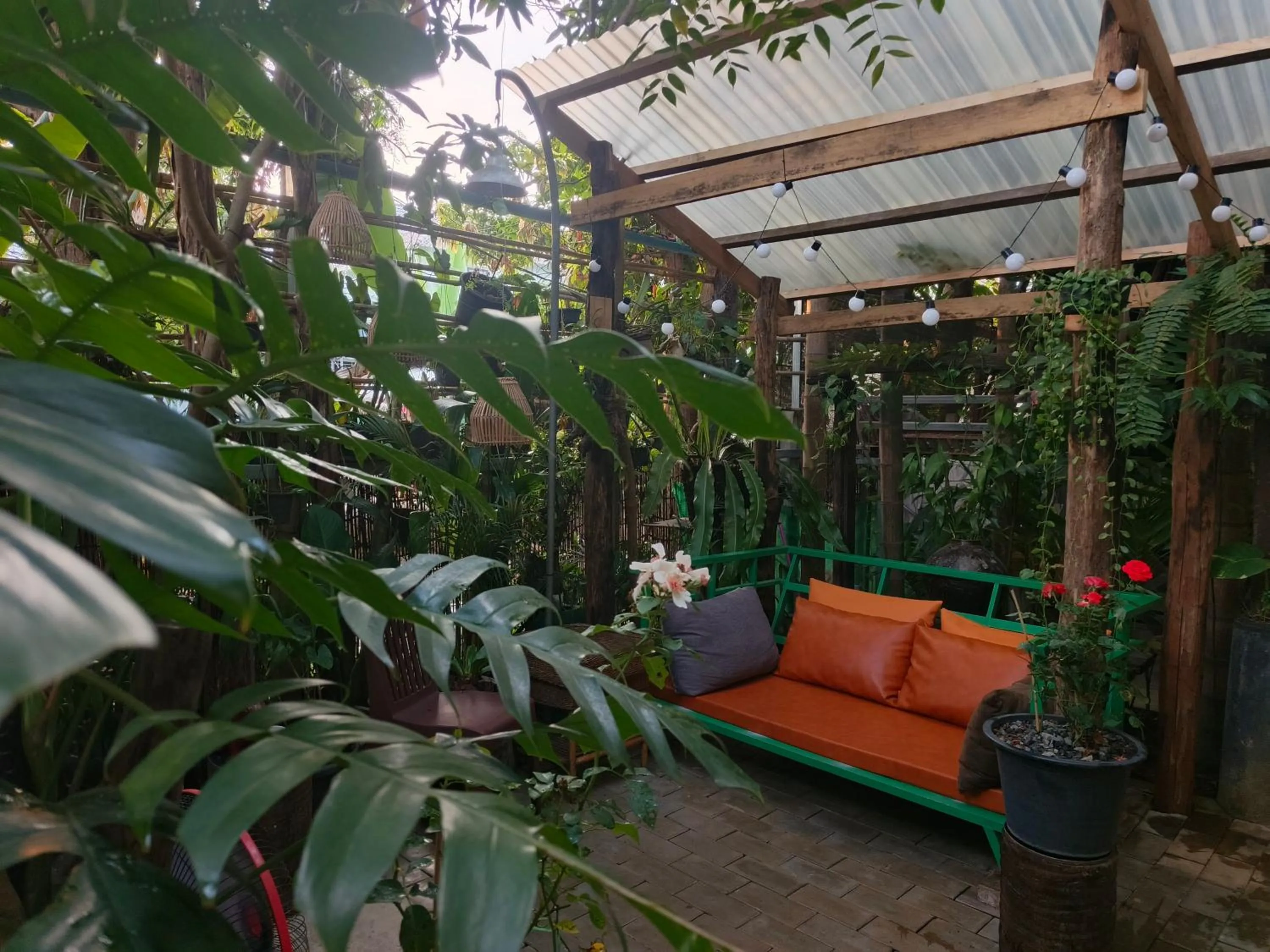 Natural landscape in Green Stay Village