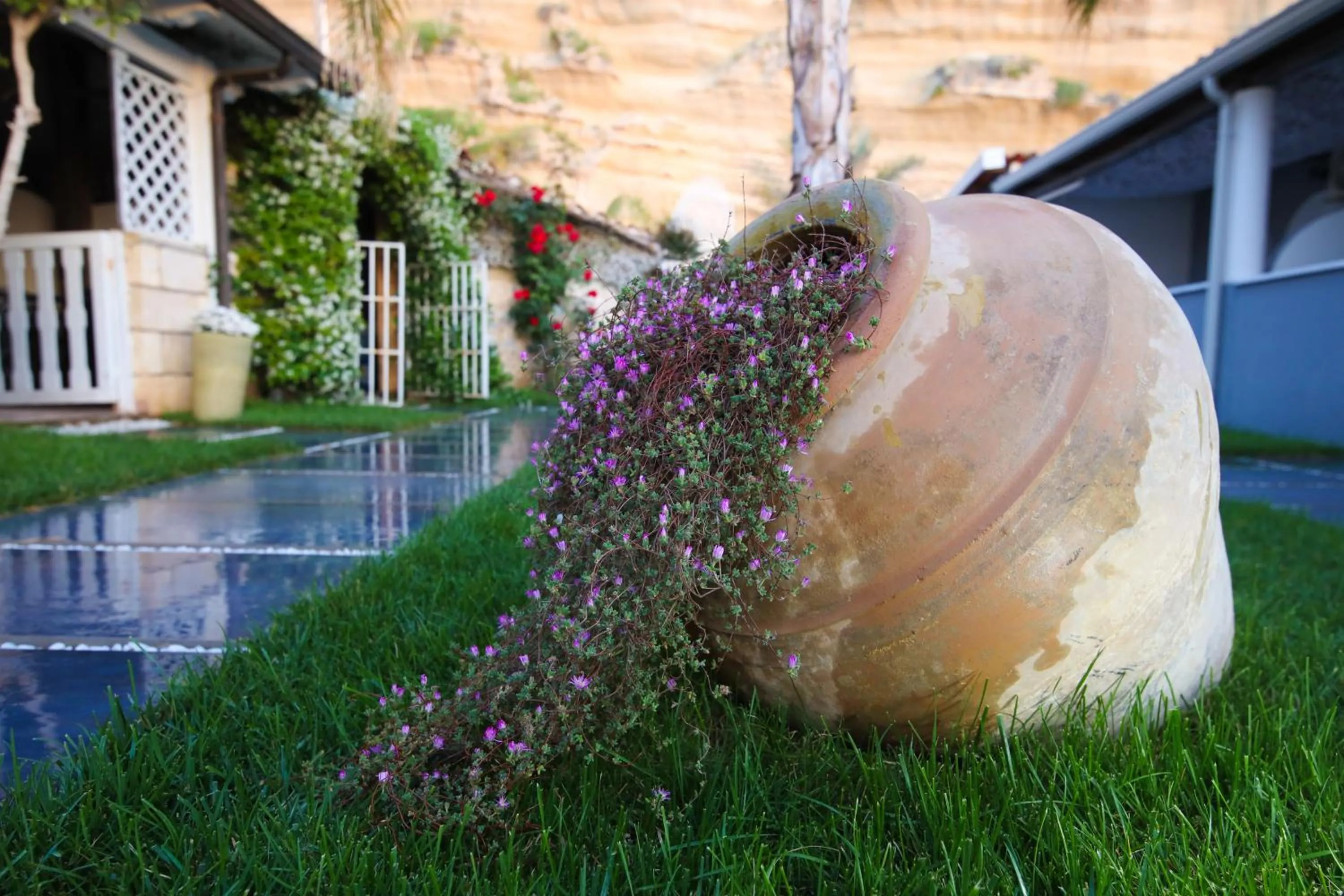 Garden in Oldwell Hotel