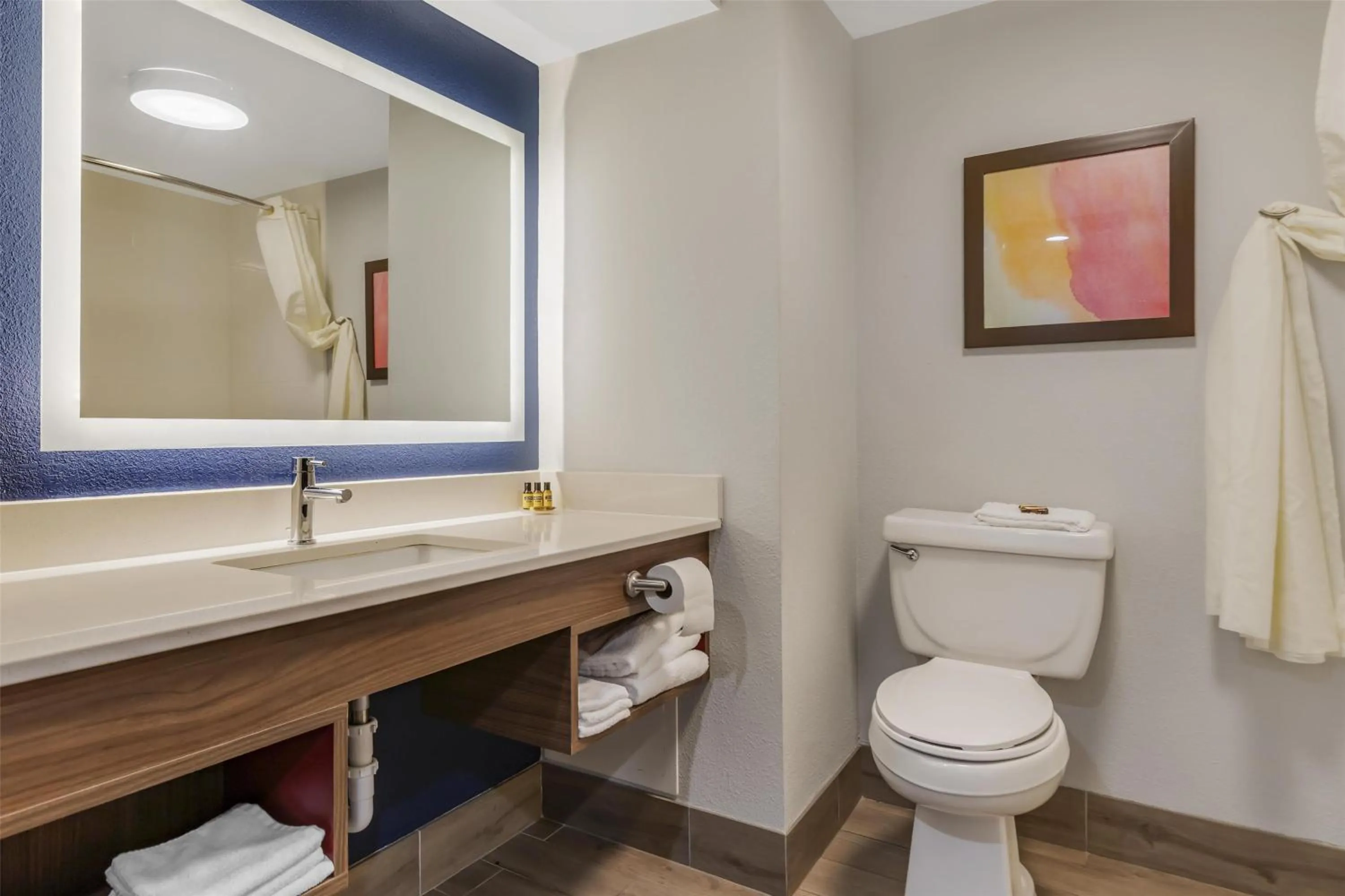 Bathroom in Best Western Plus Lexington Inn